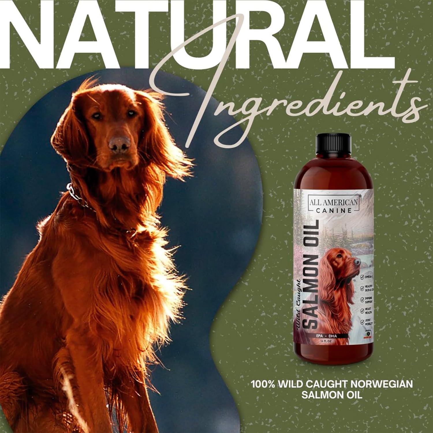 Wild Caught Salmon Oil for Dogs | Omega 3 Liquid Supplement for Healthy Skin, Coat, Joints, and Immune System - 16 fl oz