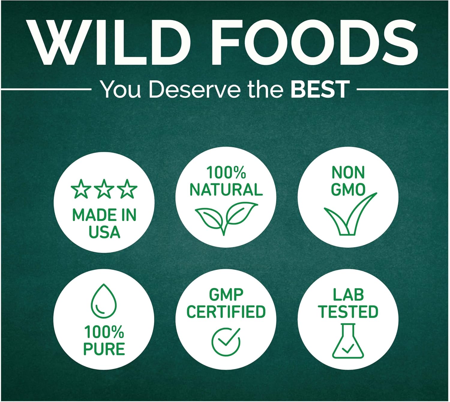 Wild Foods Electrolyte Drink Powder with Psyllium Husk, Probiotics, and Prebiotics for Digestive Support - 12.5oz