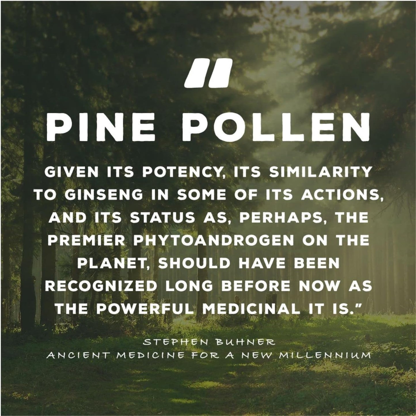 Wild-Harvested Pine Pollen Gold Extract for Energy Restoration - 1 fl oz