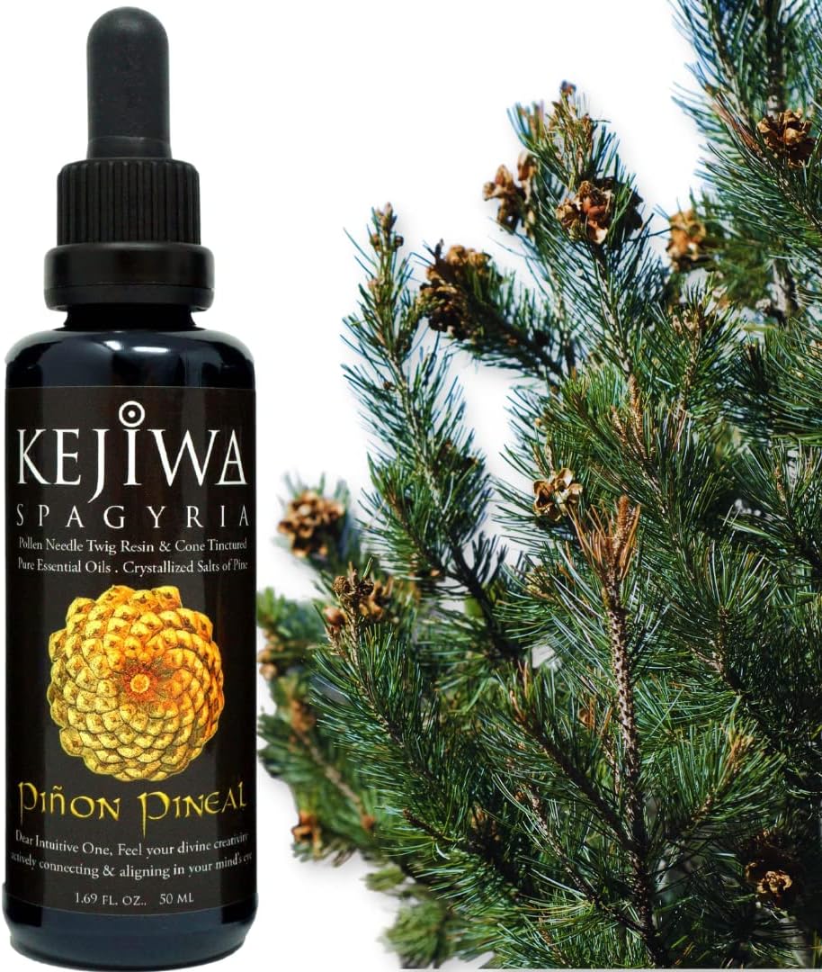 Wild Harvested Piñon Pine Herbal Tincture for Immune Support and Vitality Boost