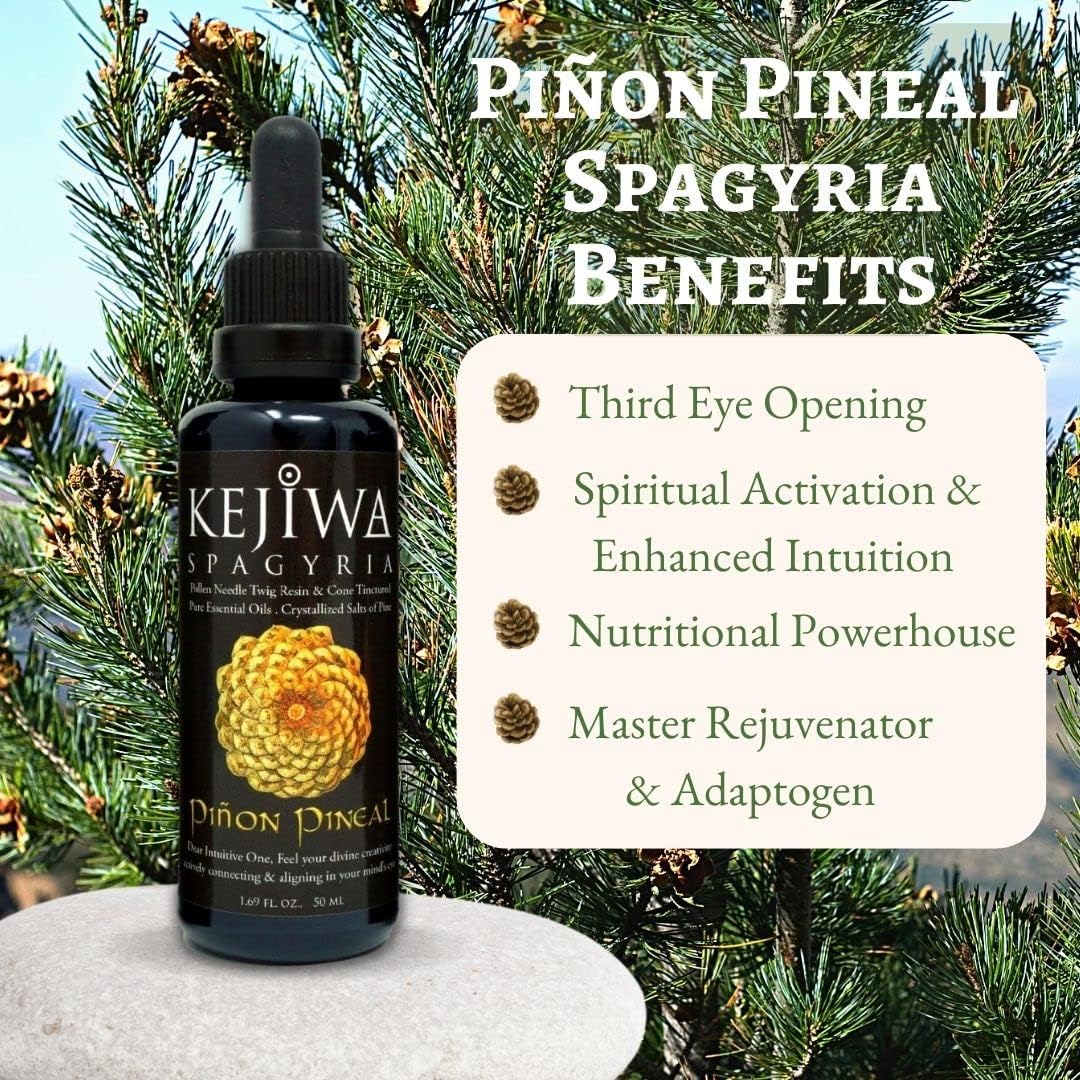 Wild Harvested Piñon Pine Herbal Tincture for Immune Support and Vitality Boost