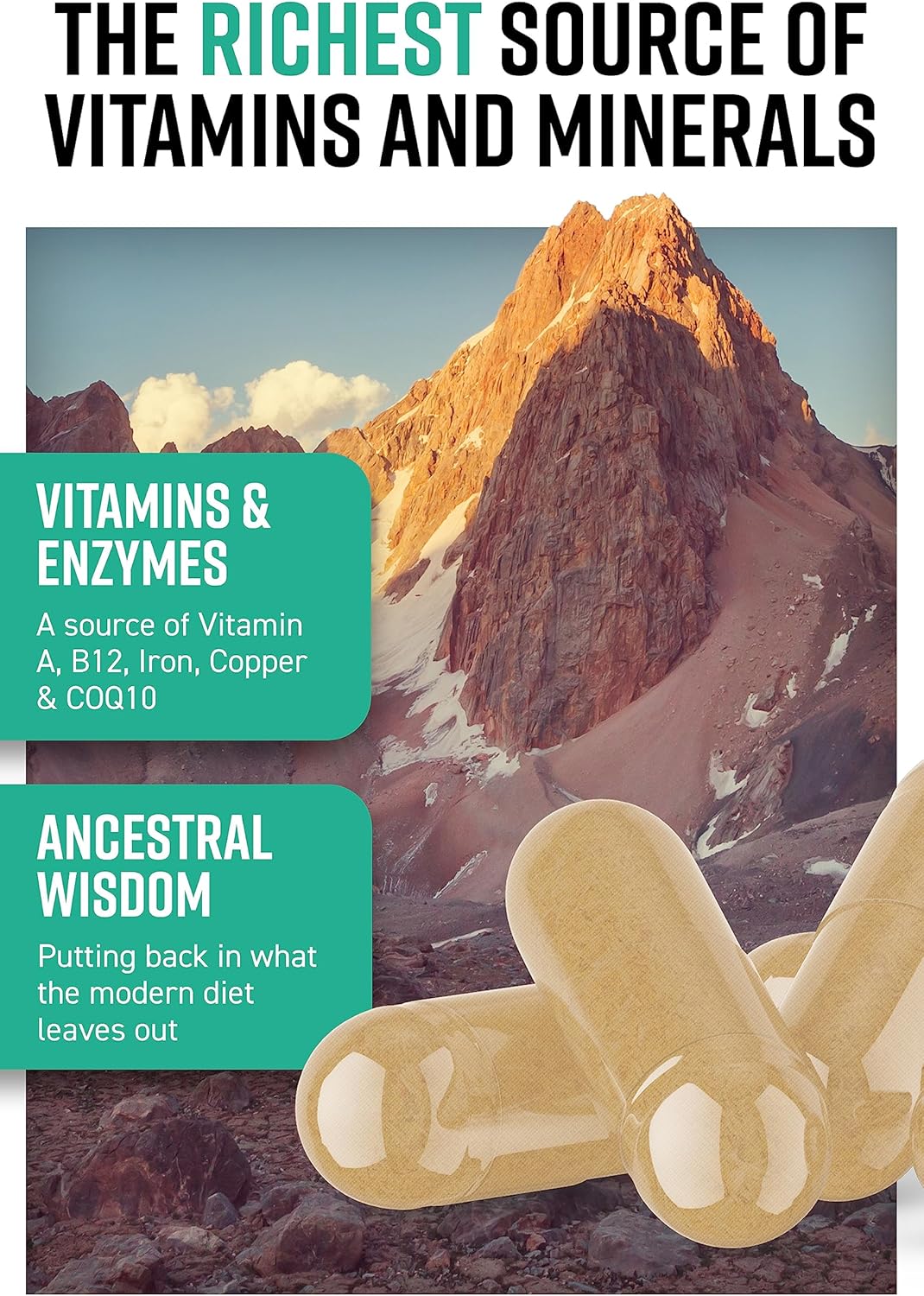 Wild Icelandic Lamb Ancestral Inspired Capsules - GMO-Free, Hormone & Antibiotic-Free - Hunter & Gather Nose to Tail 180 Perform