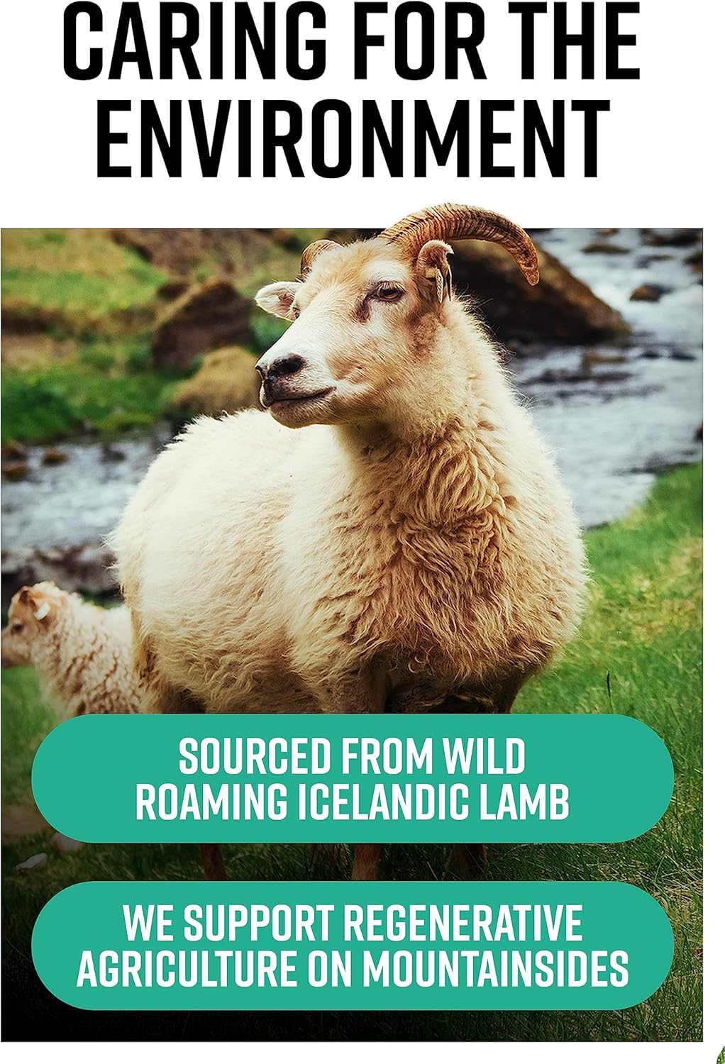 Wild Icelandic Lamb Ancestral Inspired Capsules - GMO-Free, Hormone & Antibiotic-Free - Hunter & Gather Nose to Tail 180 Perform