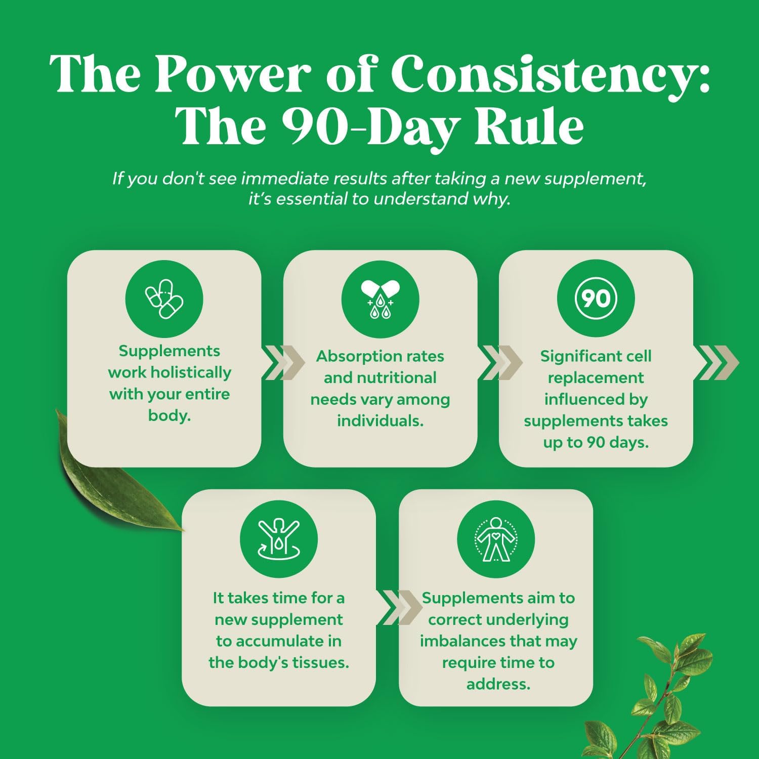 Wild Oregano Oil Softgels - Super Concentrated 3000mg Herbal Equivalent with 70% Carvacrol for Gut Health, Heart Support, and Immune Boost - Vegan & Non-GMO (180CT)