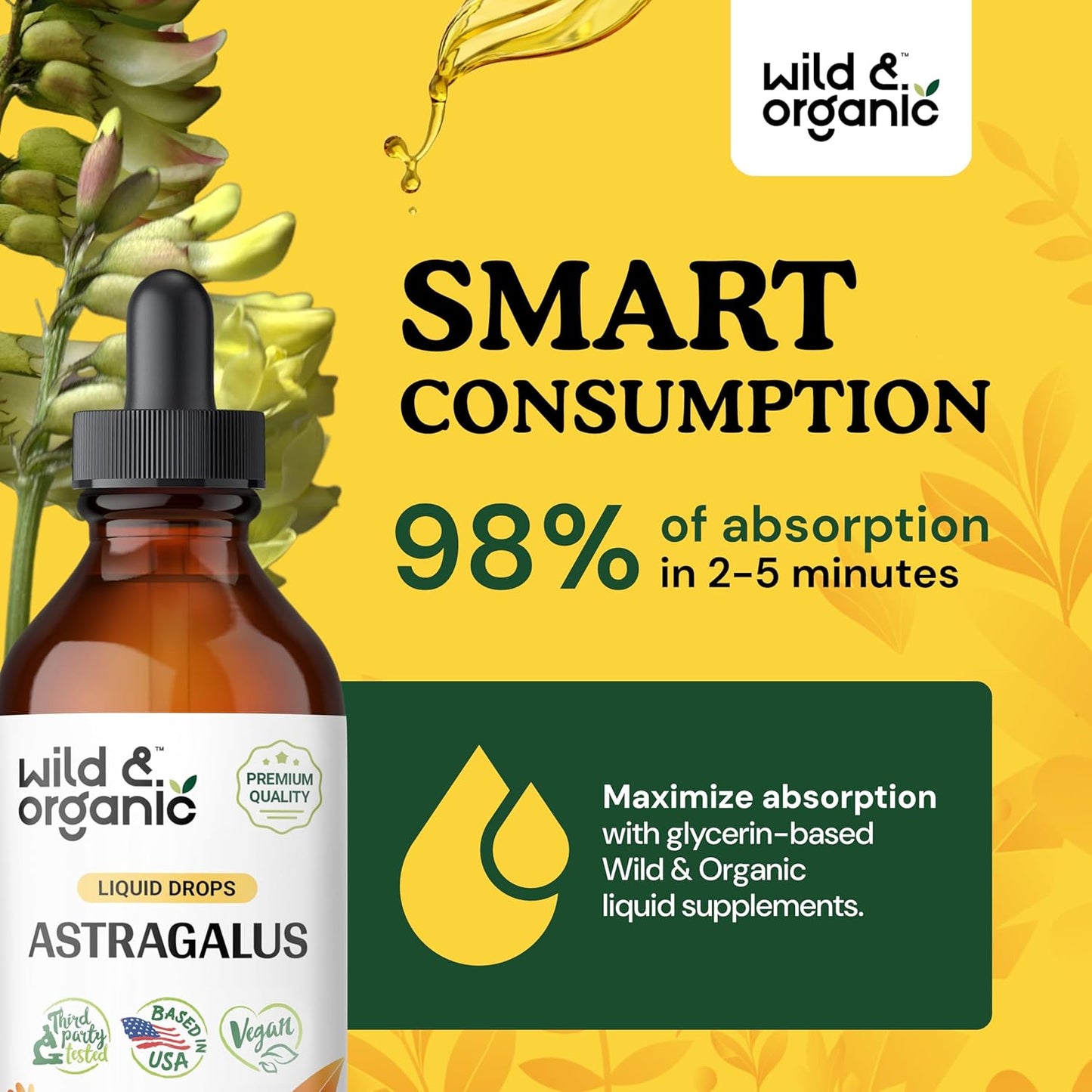 Wild & Organic Olive Leaf and Astragalus Tincture Bundle - 4 fl oz each