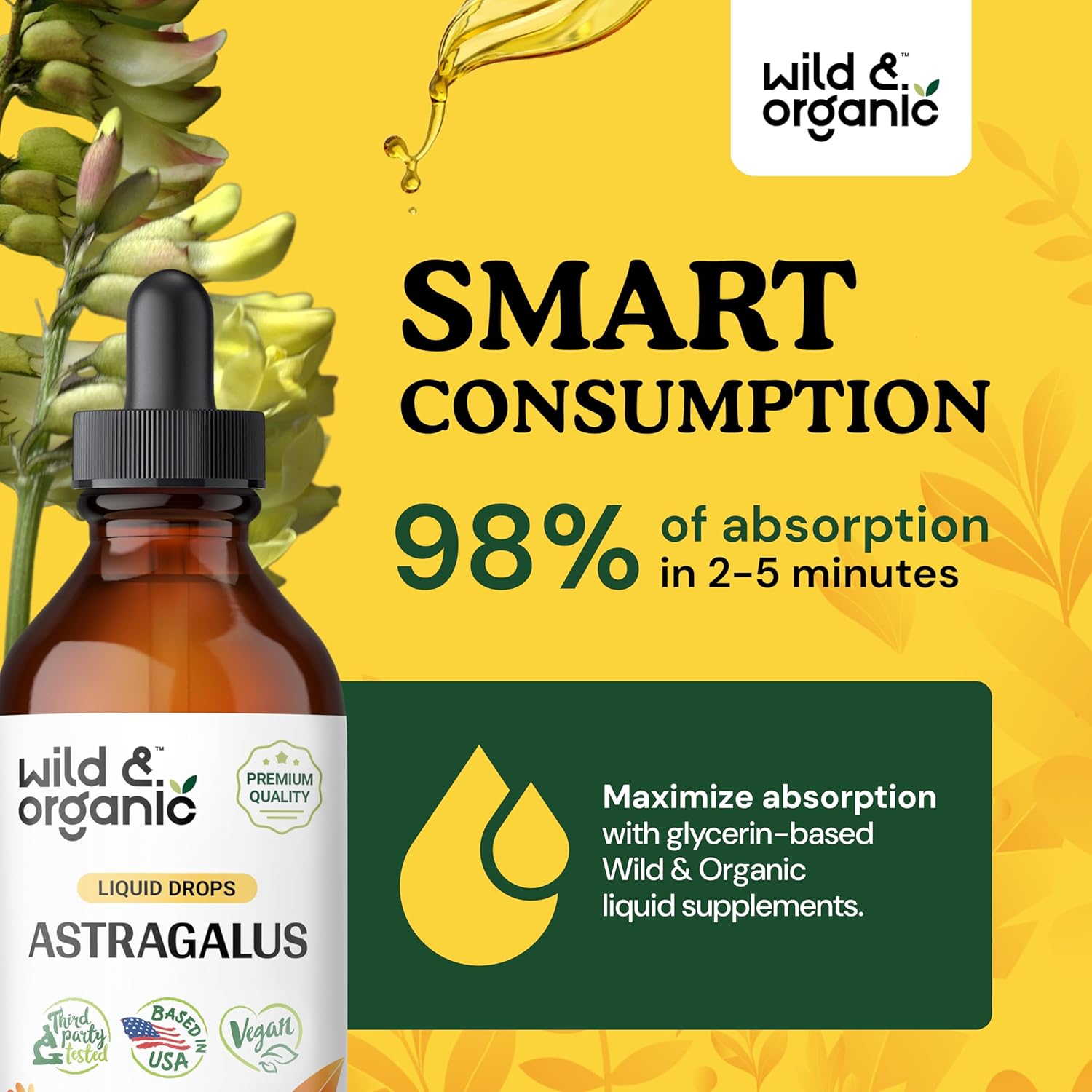 Wild & Organic Olive Leaf and Astragalus Tincture Bundle - 4 fl oz each