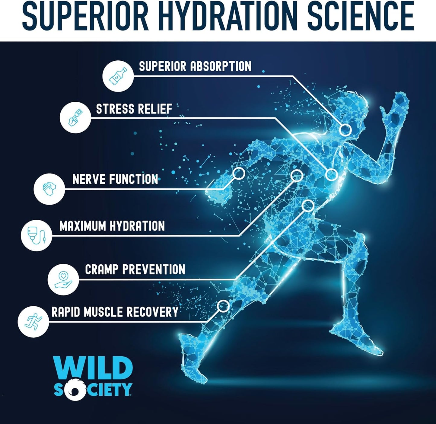 Wild Society Strawberry Dragon Fruit Electrolyte Powder Drink Mix - Premium Zero Sugar, 3x Absorption Magnesium Glycinate, Low Calorie Hydration - 30 Servings