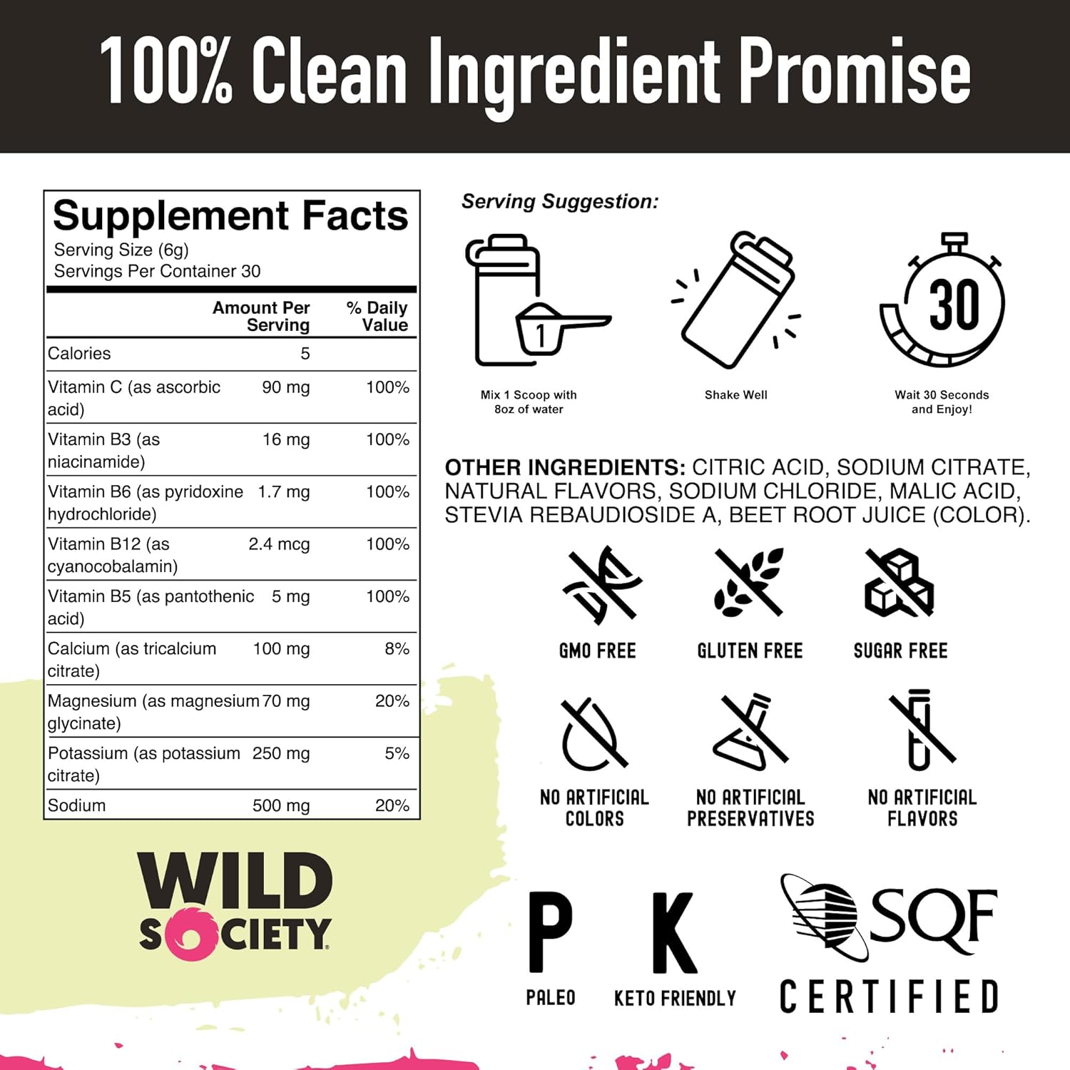 Wild Society Strawberry Dragon Fruit Electrolyte Powder Drink Mix - Premium Zero Sugar, 3x Absorption Magnesium Glycinate, Low Calorie Hydration - 30 Servings