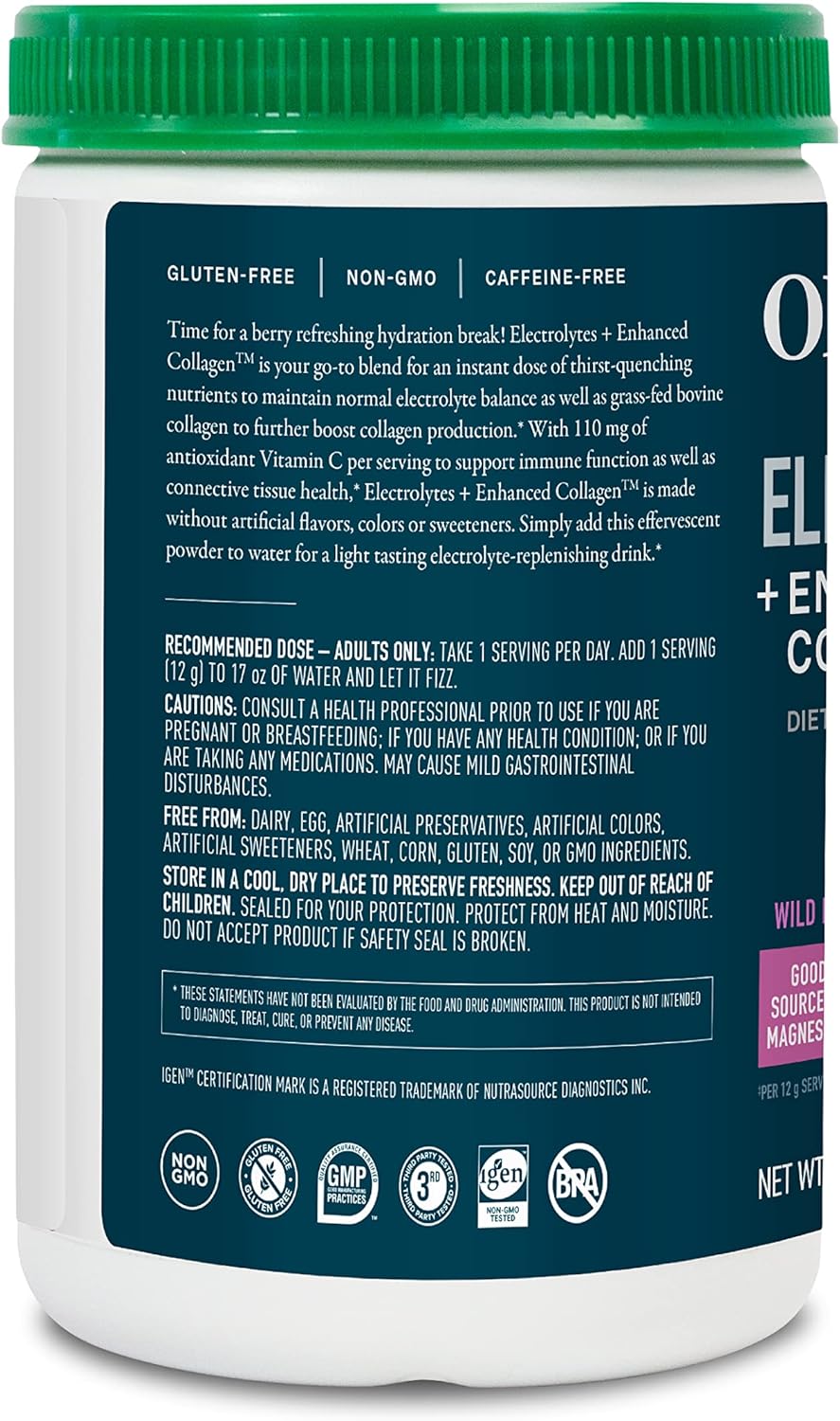 Wildberry Flavored Sugar-Free Electrolytes and Collagen Blend for Hydration and Protein Support - 360g (30 Servings)