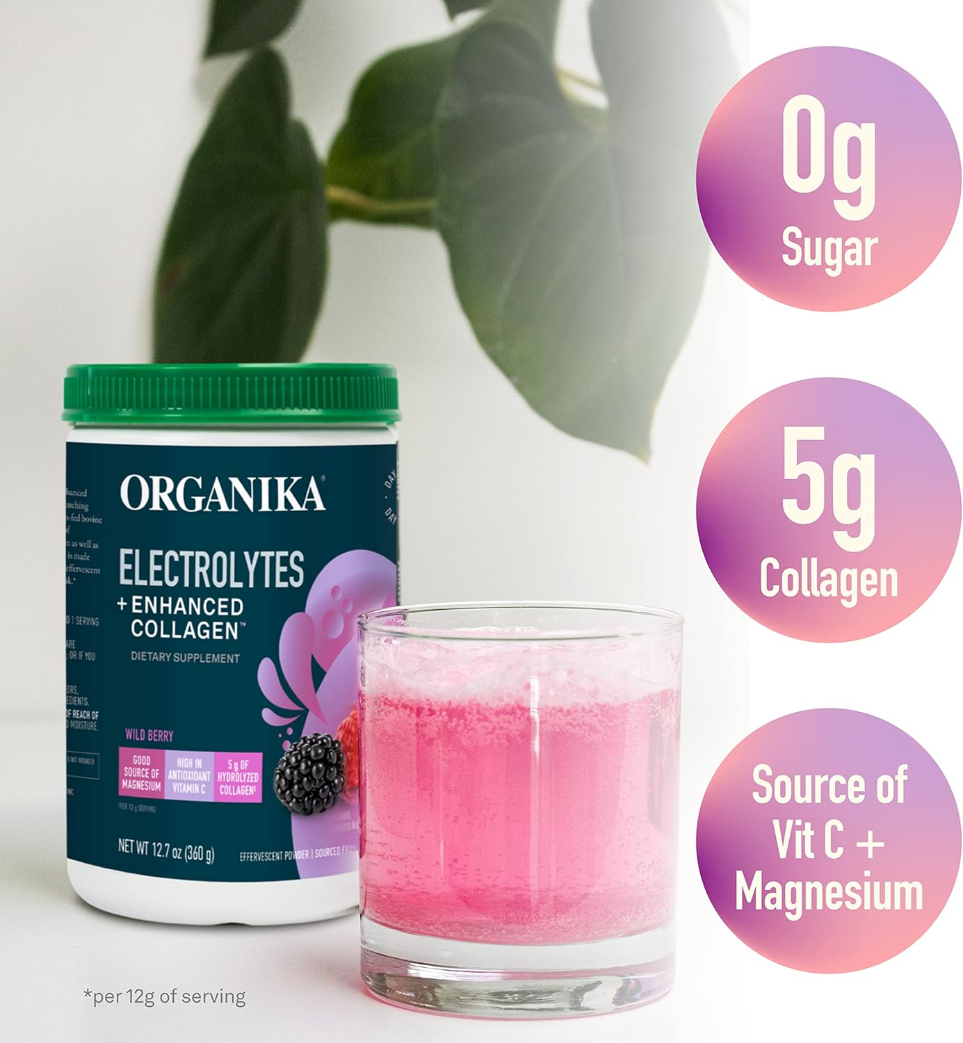 Wildberry Flavored Sugar-Free Electrolytes and Collagen Blend for Hydration and Protein Support - 360g (30 Servings)