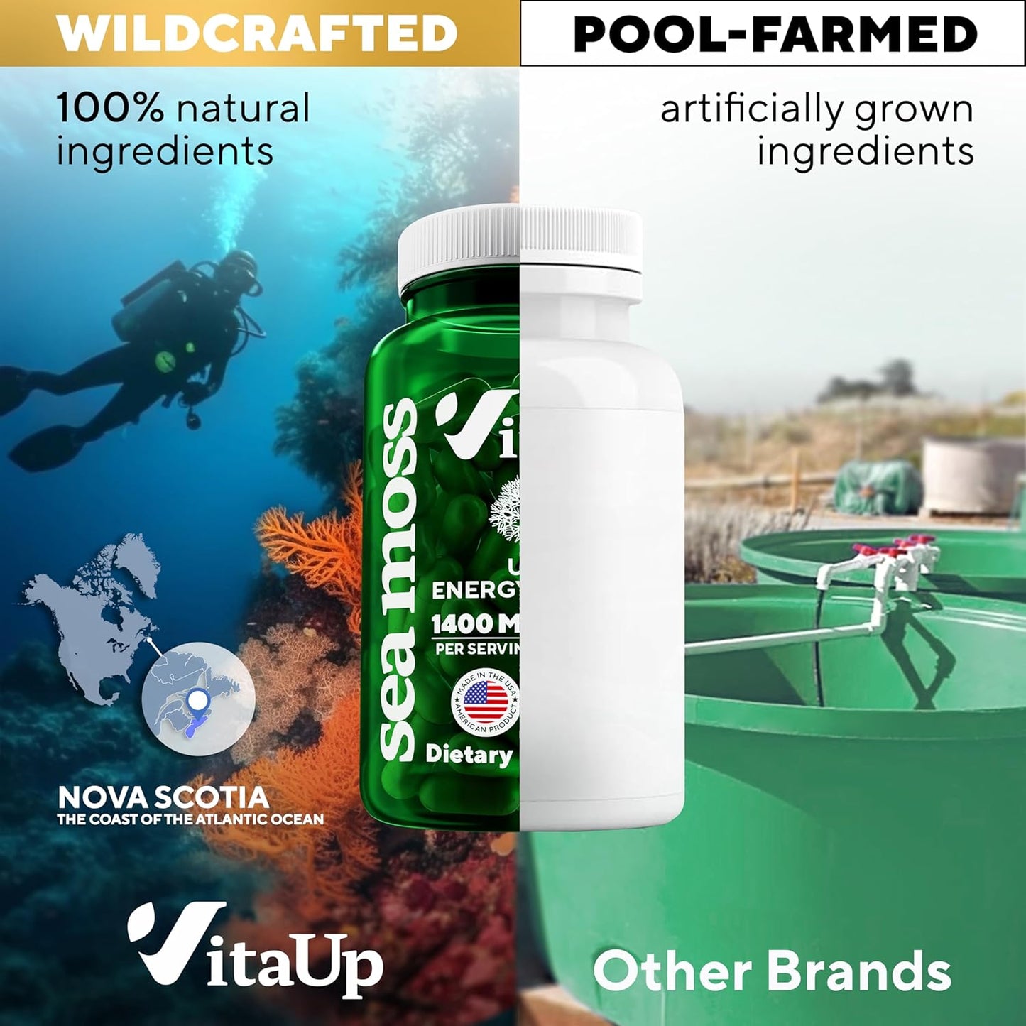 Wildcrafted Irish Sea Moss Capsules with Burdock Root & Bladderwrack - 100 Vegan Pills for Hair, Skin, Immune & Energy Support - USA Made SeaMoss Capsules