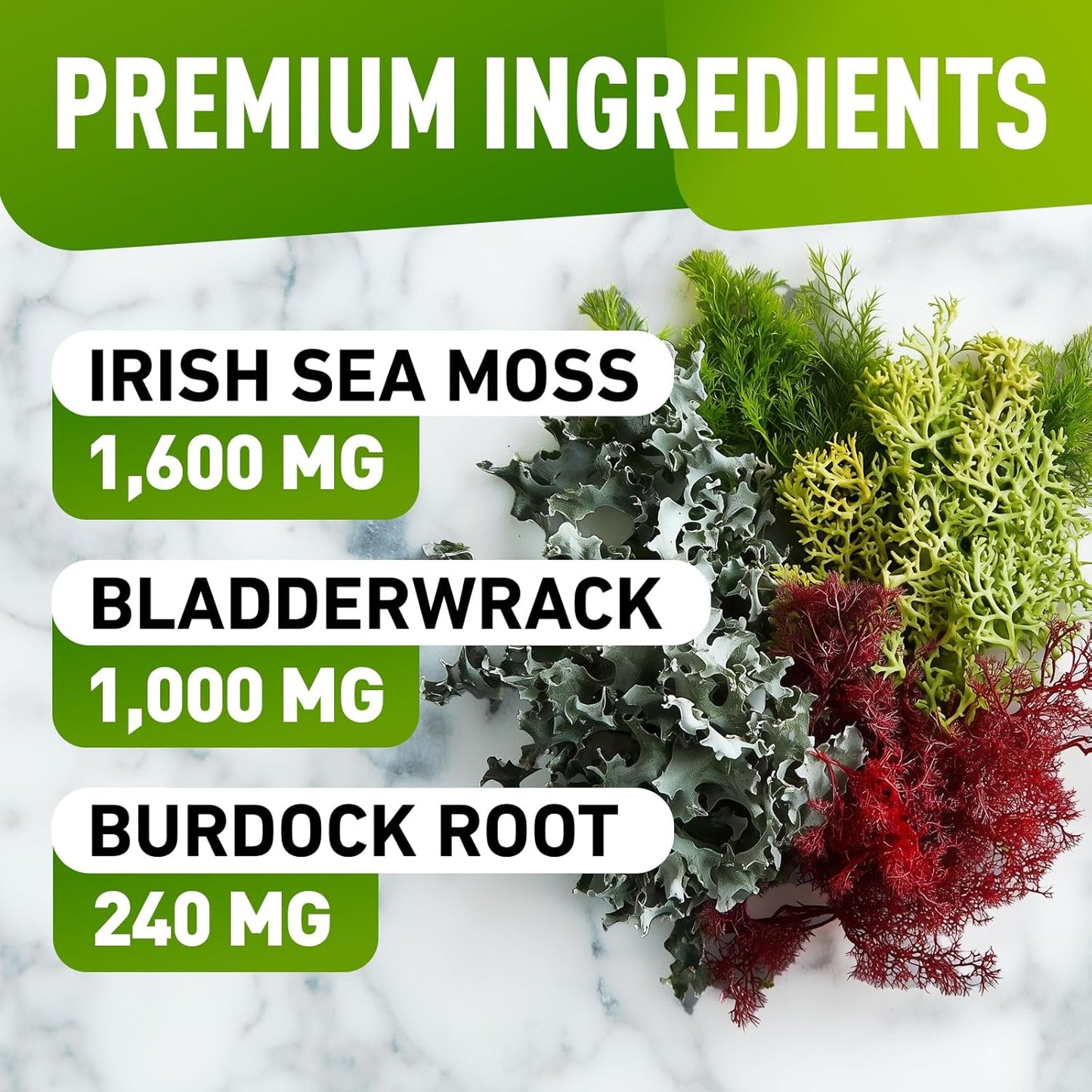 Wildcrafted Irish Sea Moss Gummies with Bladderwrack & Burdock Root Extract - 60 Vegan Sea Moss Gel Gummies for Adults & Kids