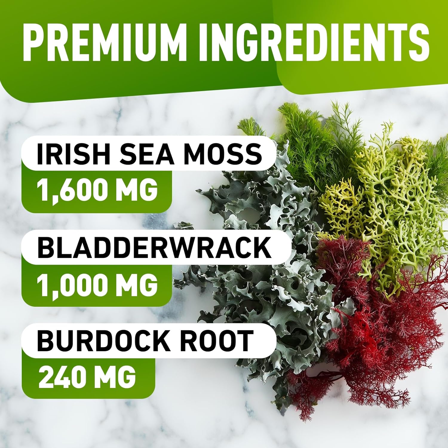 Wildcrafted Irish Sea Moss Gummies with Bladderwrack & Burdock Root Extract - 60 Vegan Sea Moss Gel Gummies for Adults & Kids