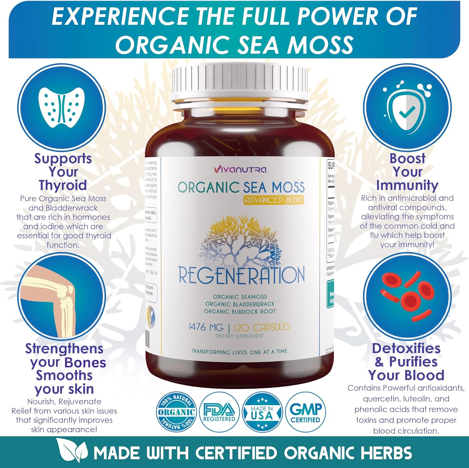 Wildcrafted Organic Sea Moss, Bladderwrack, Burdock Root Capsules - 120 Count - Alkaline Vegan Superfood Supplement - 2 Month Supply