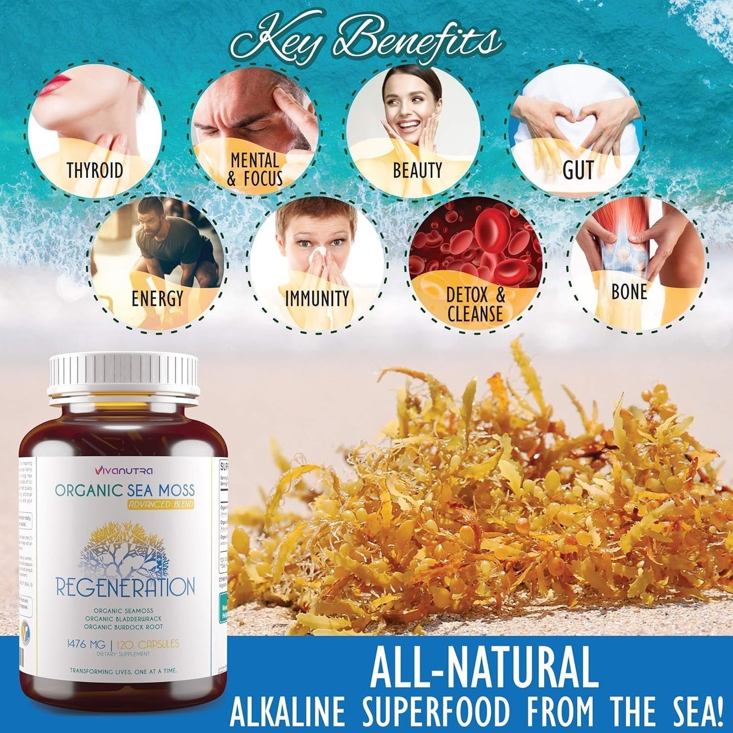 Wildcrafted Organic Sea Moss, Bladderwrack, Burdock Root Capsules - 120 Count - Alkaline Vegan Superfood Supplement - 2 Month Supply