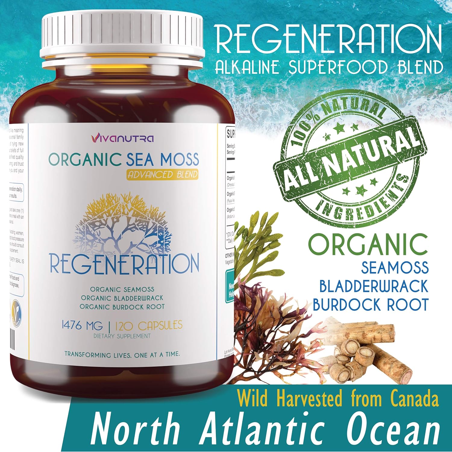 Wildcrafted Organic Sea Moss, Bladderwrack, Burdock Root Capsules - 120 Count - Alkaline Vegan Superfood Supplement - 2 Month Supply