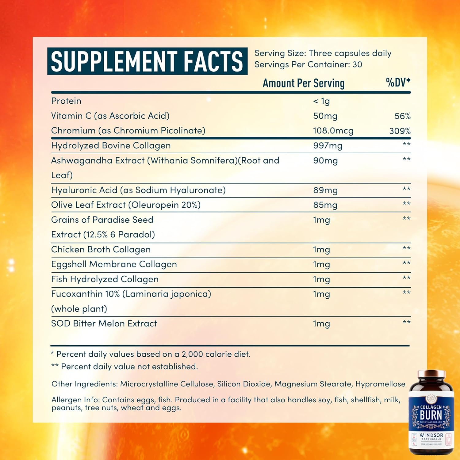 WINDSOR BOTANICALS Collagen Burn Capsules with Hyaluronic Acid - Thermogenic Formula for Women and Men - 90 Pills