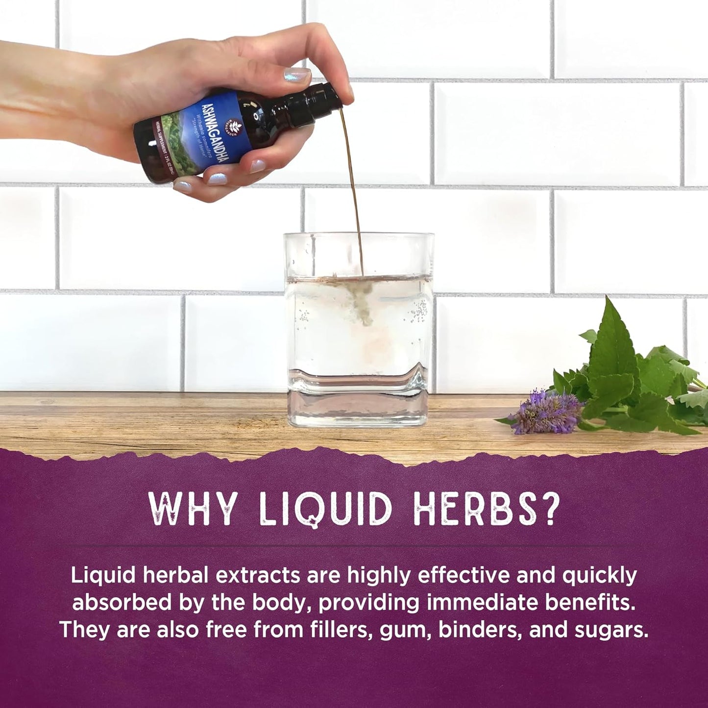 WishGarden Herbs Genius Juice: Herbal Nootropic Brain Booster Supplement with Ginkgo Biloba & Gotu Kola - Focus, Clarity, Concentration, Energy - Cognitive Support - No Caffeine - 4oz