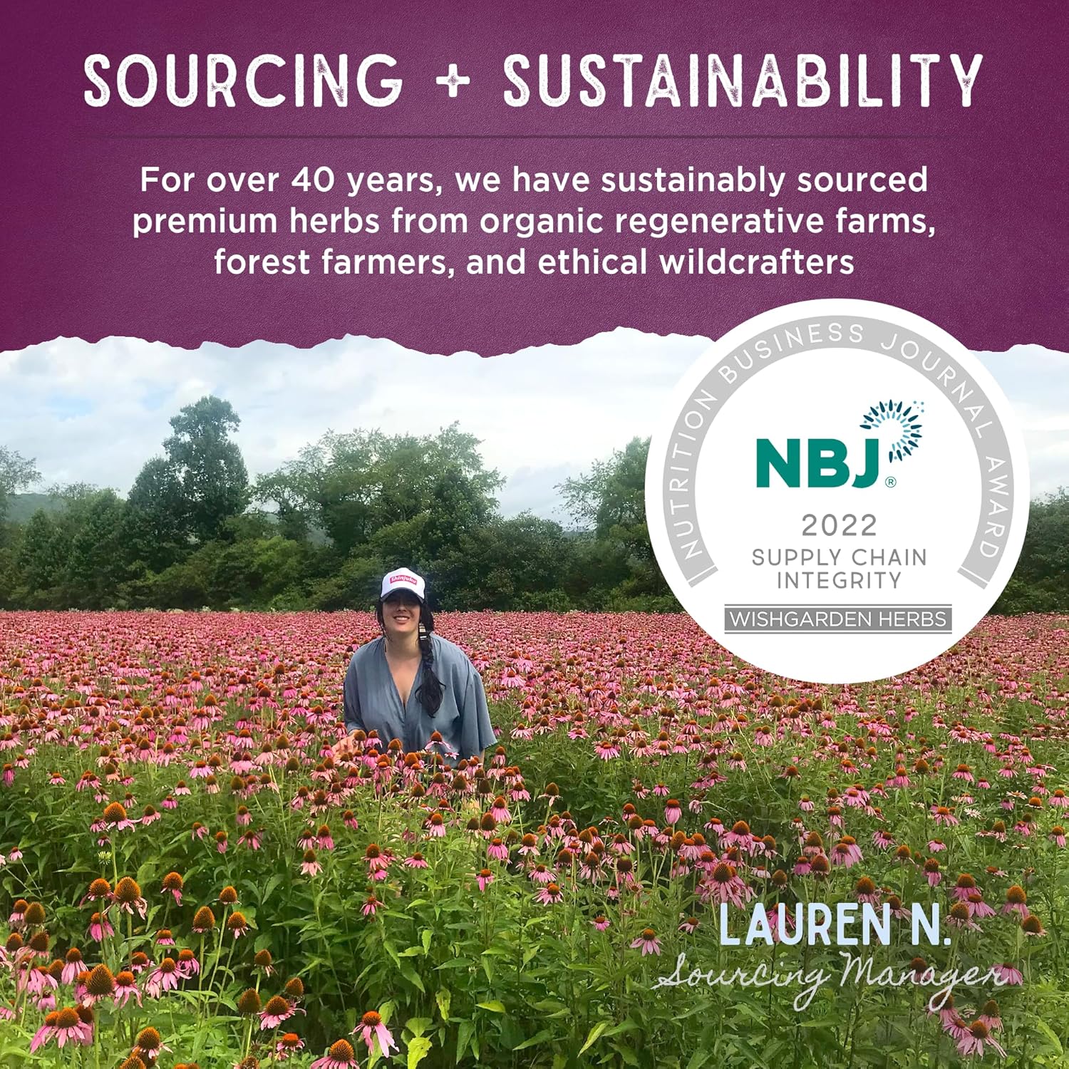 WishGarden Herbs Genius Juice: Herbal Nootropic Brain Booster Supplement with Ginkgo Biloba & Gotu Kola - Focus, Clarity, Concentration, Energy - Cognitive Support - No Caffeine - 4oz