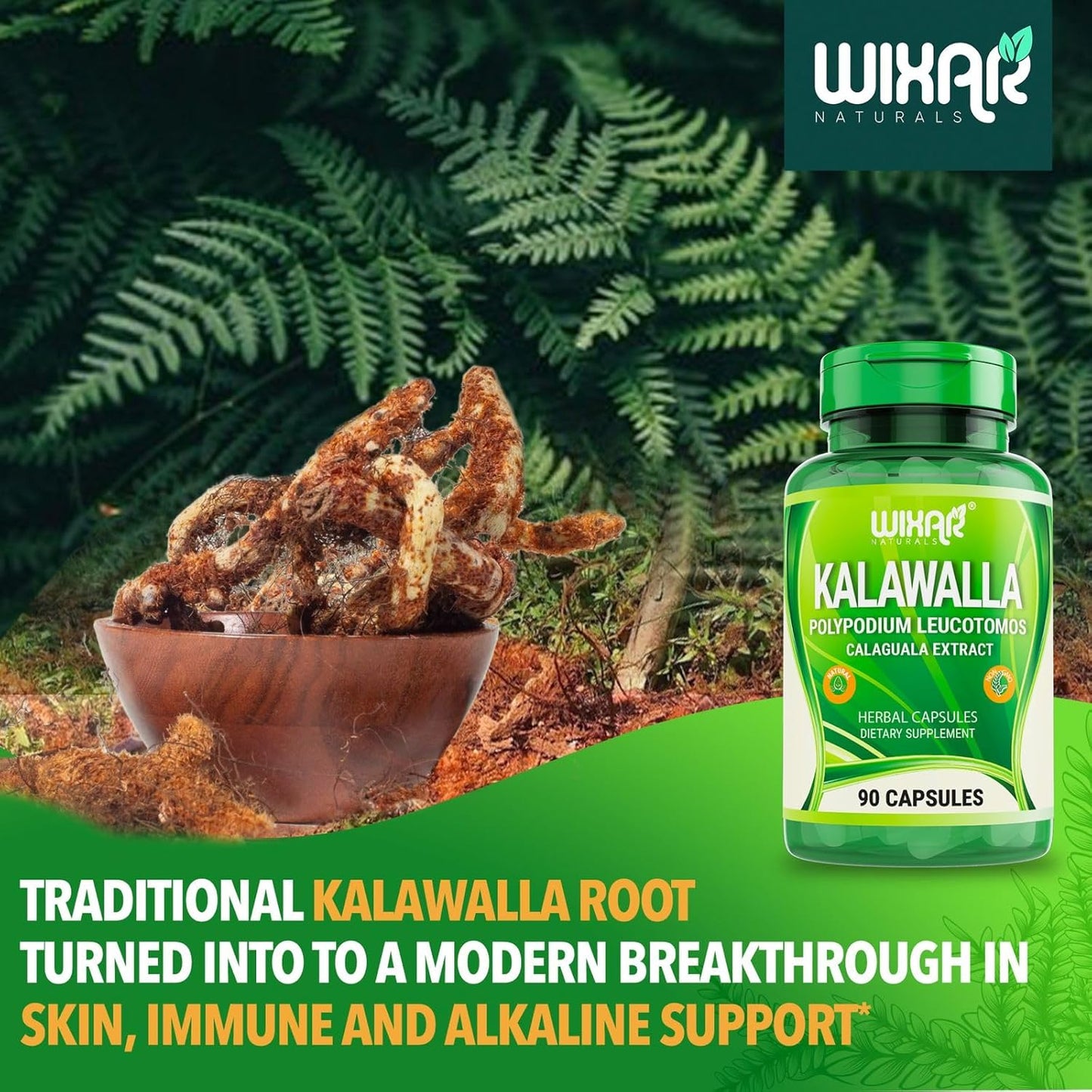 Wixar Naturals Kalawalla Root & Fern Leaves Capsules - Immune & Skin Support Supplement - 90 Vegetarian Pills for Men & Women