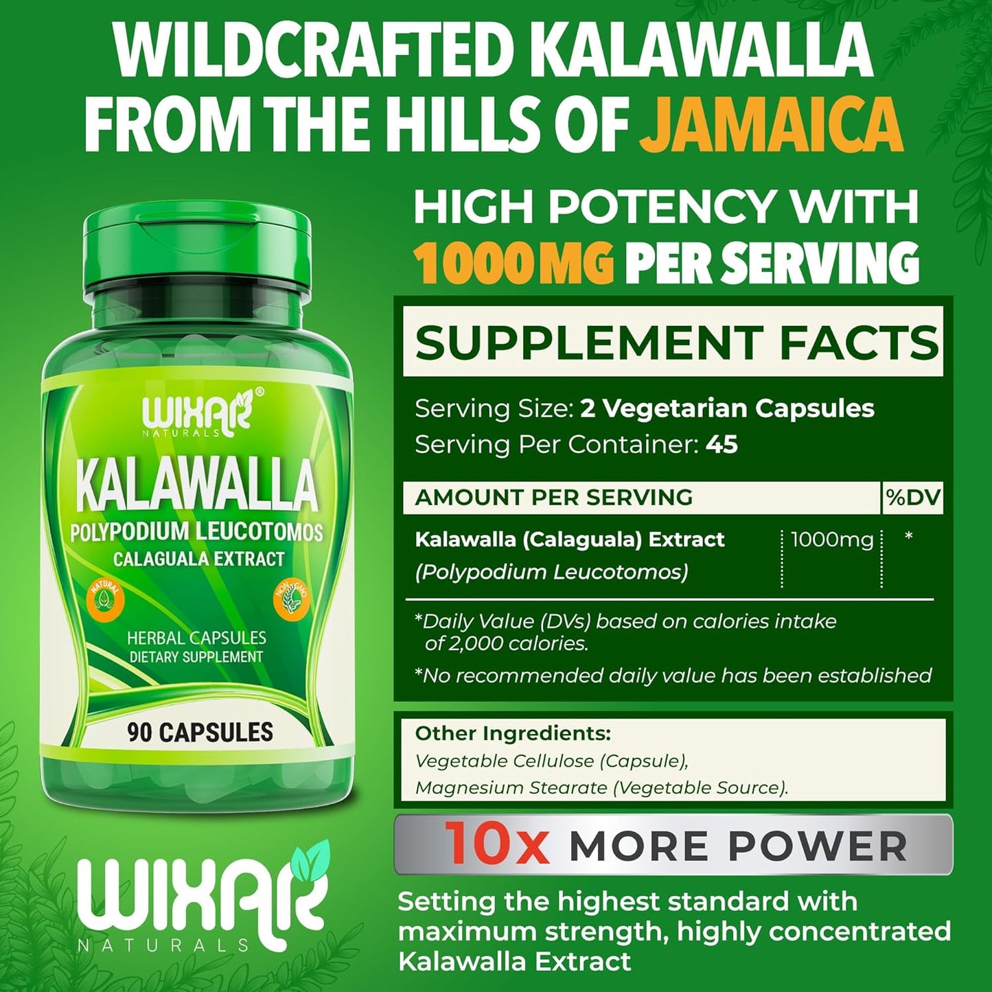 Wixar Naturals Kalawalla Root & Fern Leaves Capsules - Immune & Skin Support Supplement - 90 Vegetarian Pills for Men & Women