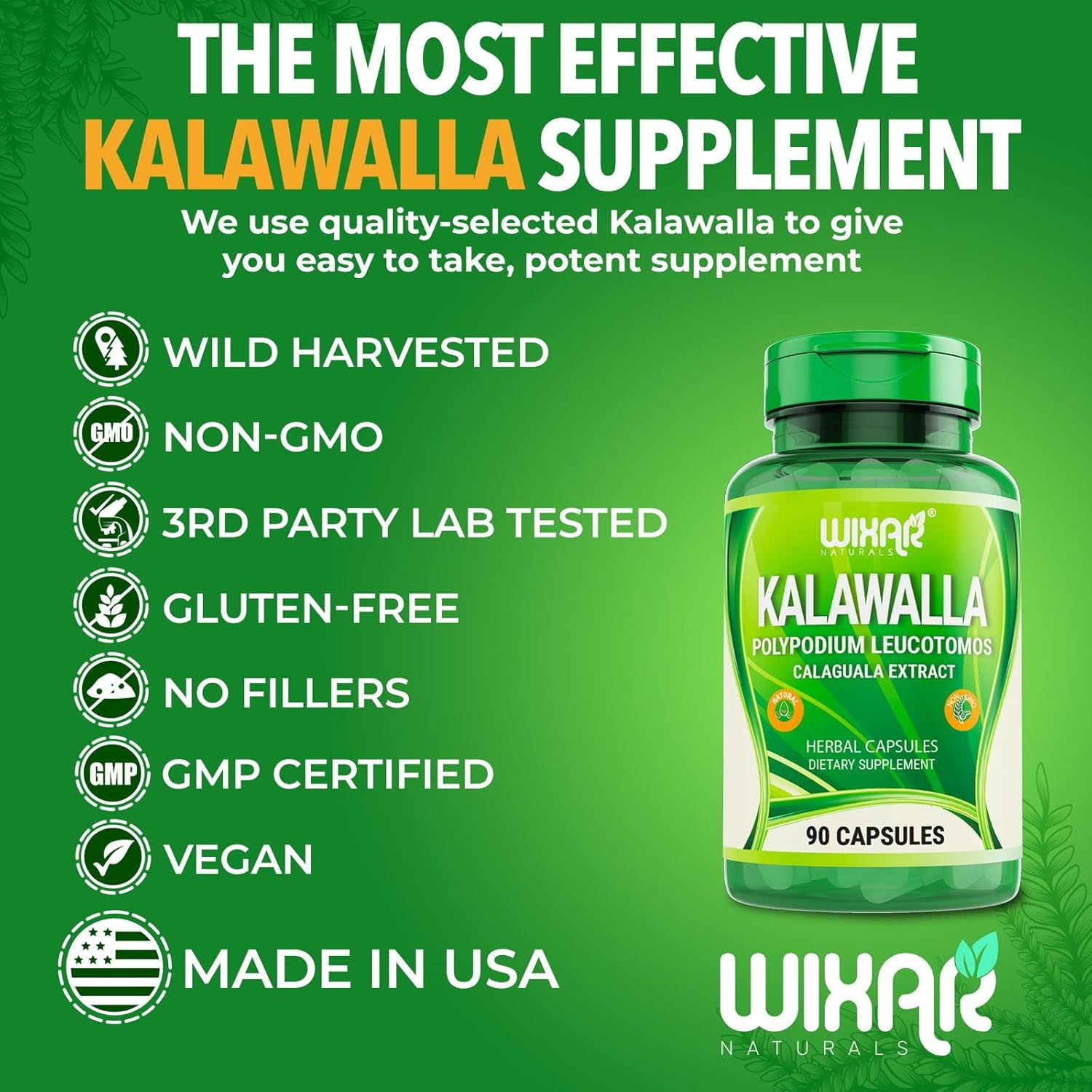 Wixar Naturals Kalawalla Root & Fern Leaves Capsules - Immune & Skin Support Supplement - 90 Vegetarian Pills for Men & Women