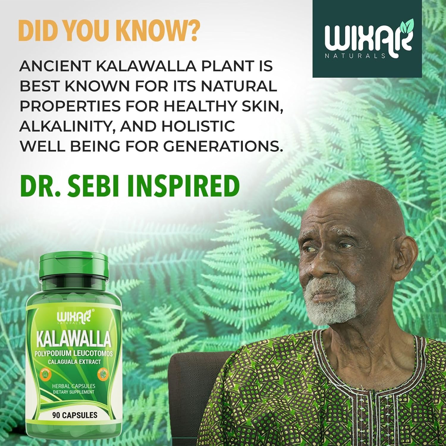 Wixar Naturals Kalawalla Root & Fern Leaves Capsules - Immune & Skin Support Supplement - 90 Vegetarian Pills for Men & Women