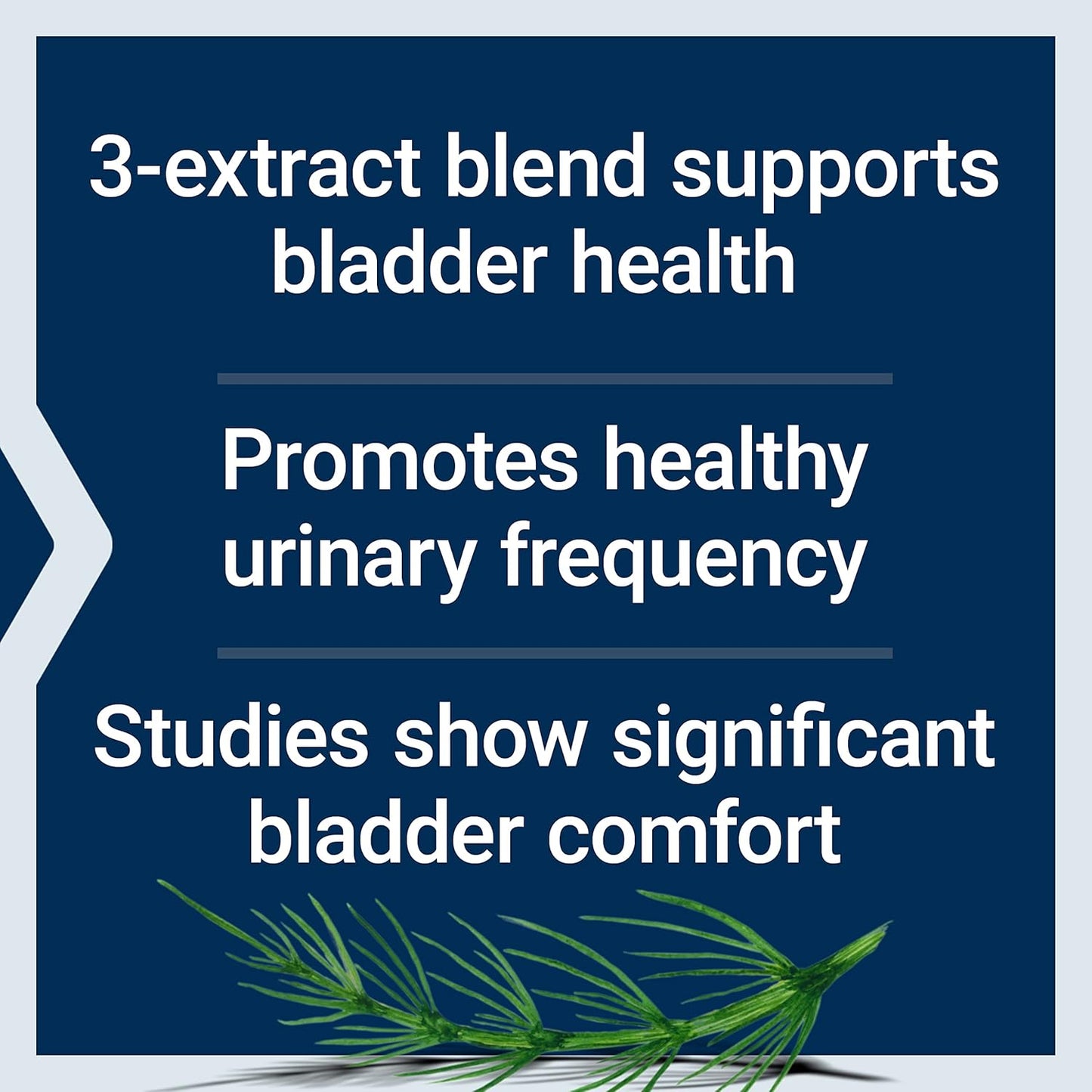 Women's Bladder Support Capsules with Horsetail & Caper Extracts for Urinary Health - Non-GMO & Gluten Free - 60ct