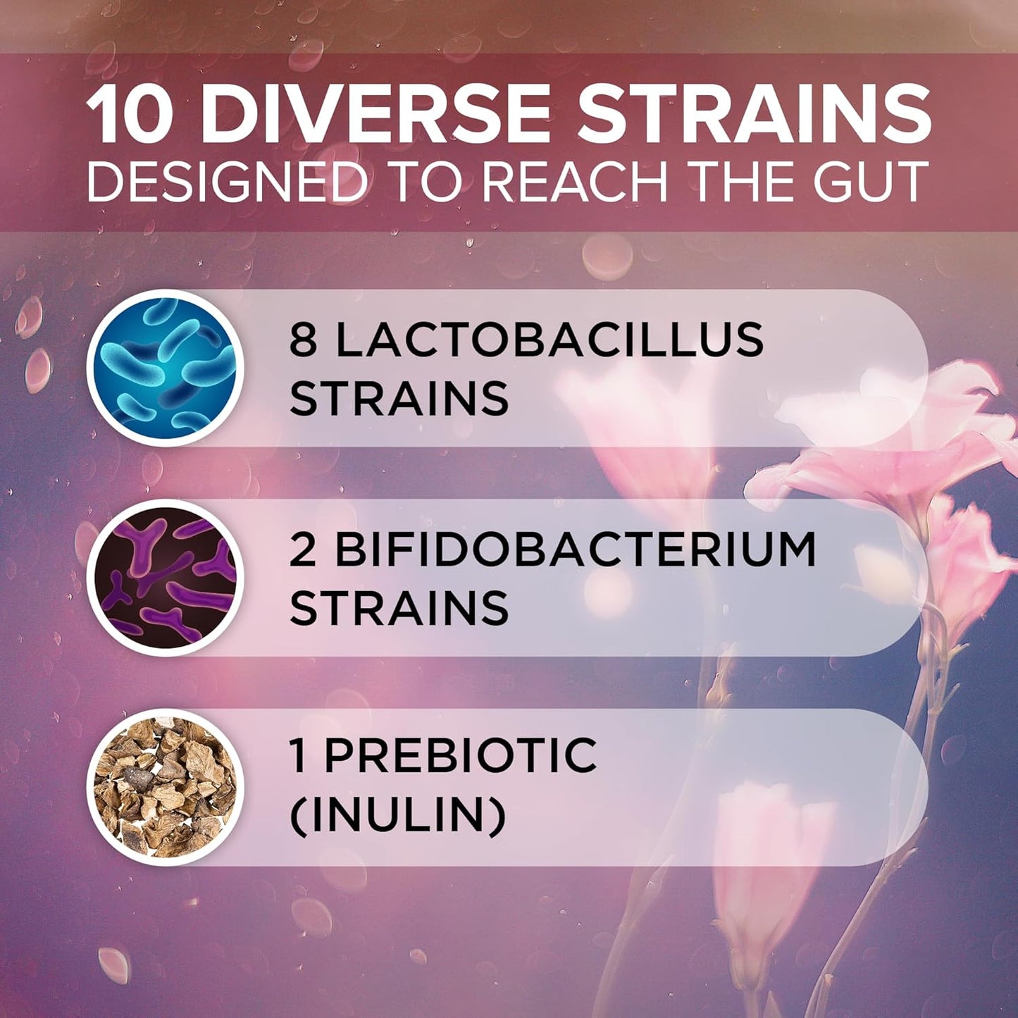 Women's Complete Probiotics with Prebiotics - 60 Capsules | 50 Billion CFU Multi Strain Probiotic Blend | Organic Women's Health Supplement