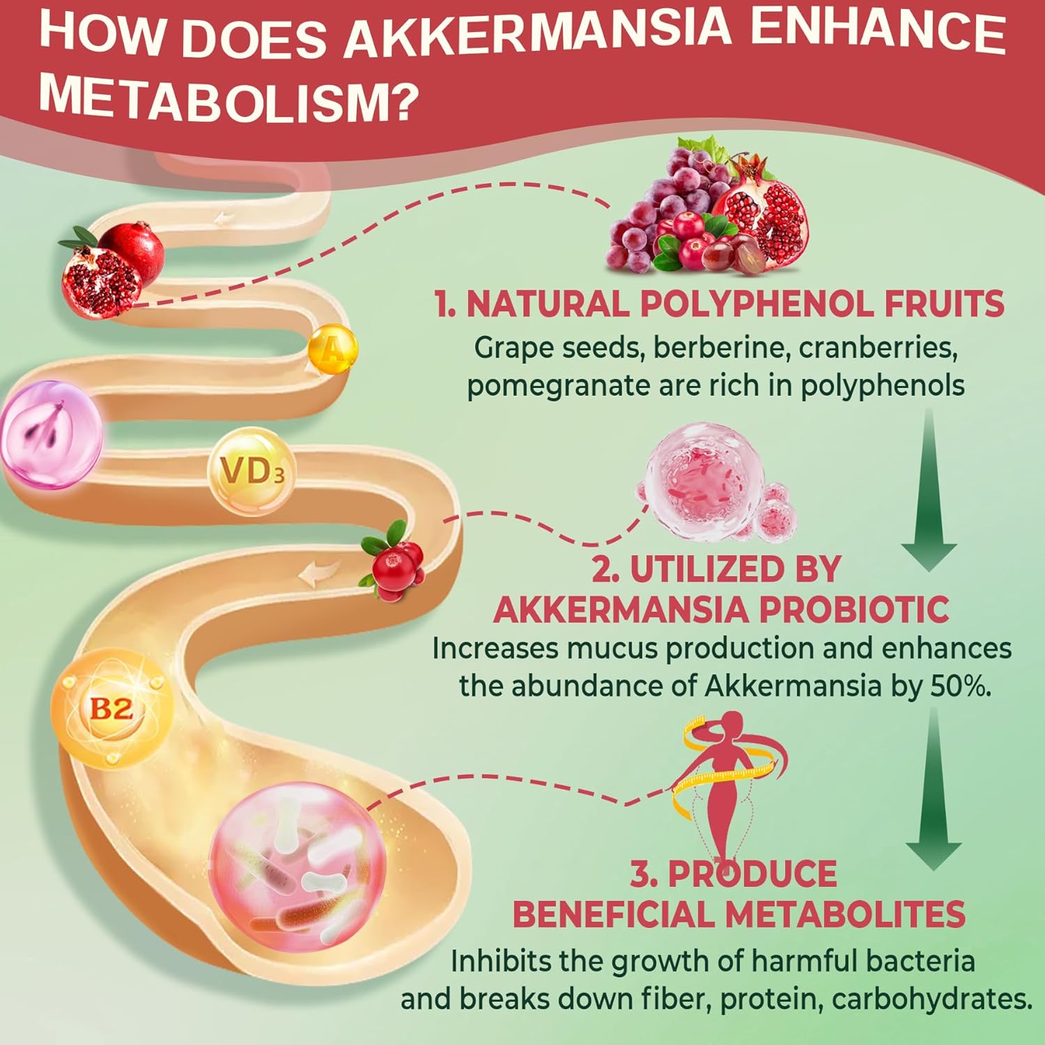 Women's Gut Health Bundle: Akkermansia Probiotics & Methylated B Complex Vitamin Gummies by Nextdia