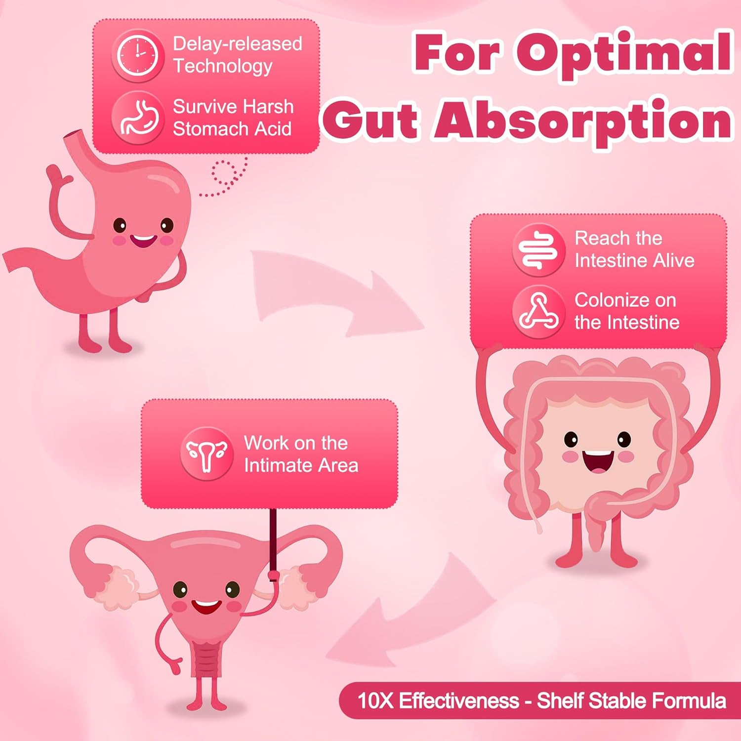 Women's Gut Health Probiotics: 100 Billion CFUs, Prebiotics, Digestive Enzymes, Vaginal Probiotics with Cranberry, D-Mannose, pH Balance - 85 Capsules