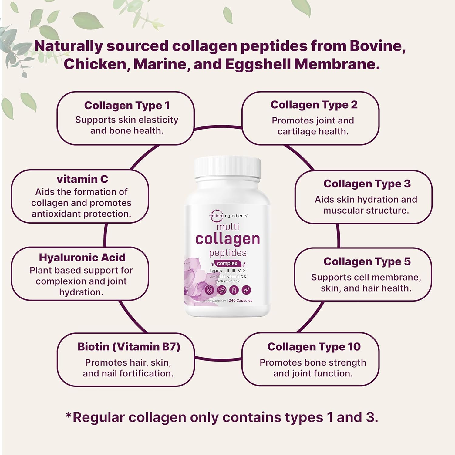 Women's Hair Growth Bundle: Multi Collagen Complex & Hair Vitamins Capsules | Grass-Fed Peptides | 14-in-1 Support