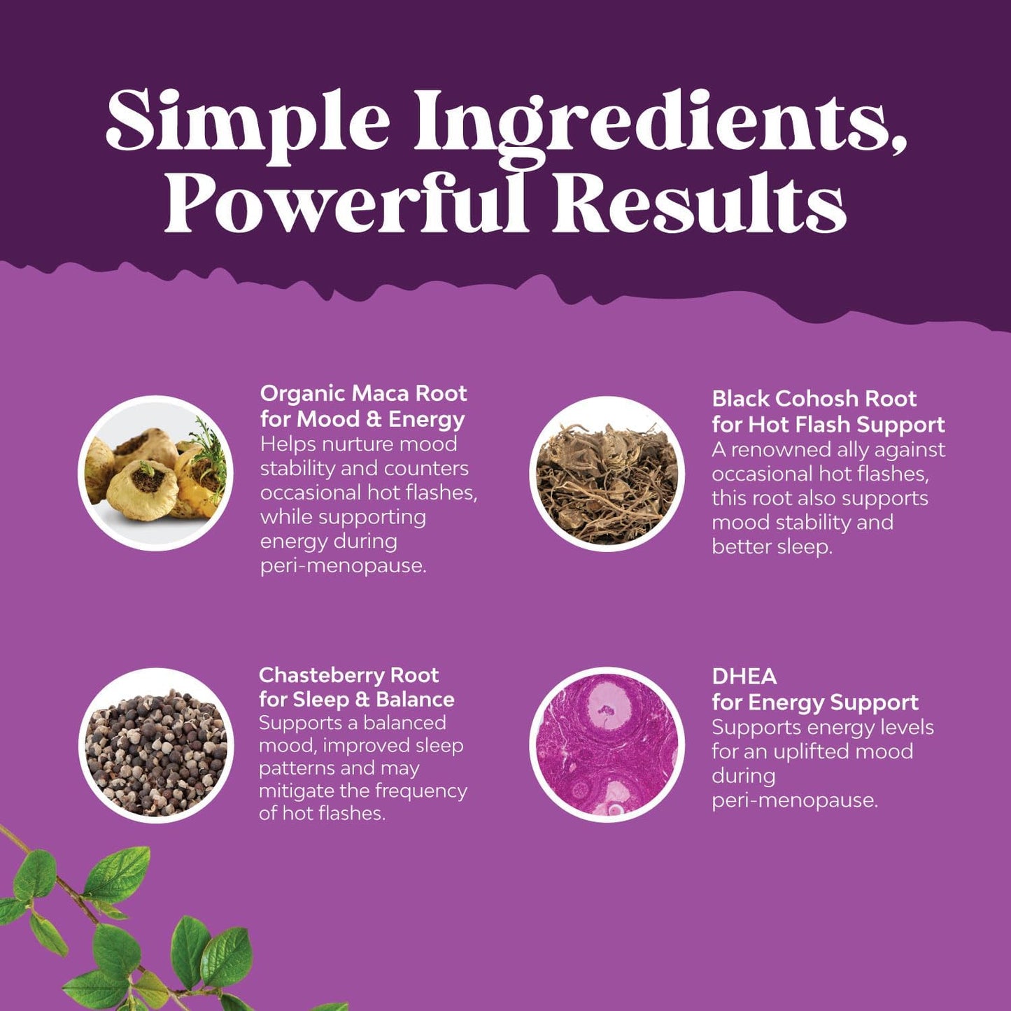 Women's Perimenopause Supplement Bundle for Hormone Balance, Hot Flashes, and Mood Support with Thyroid Complex - Herbal Energy Boost and Mood Enhancer for Thyroid Health