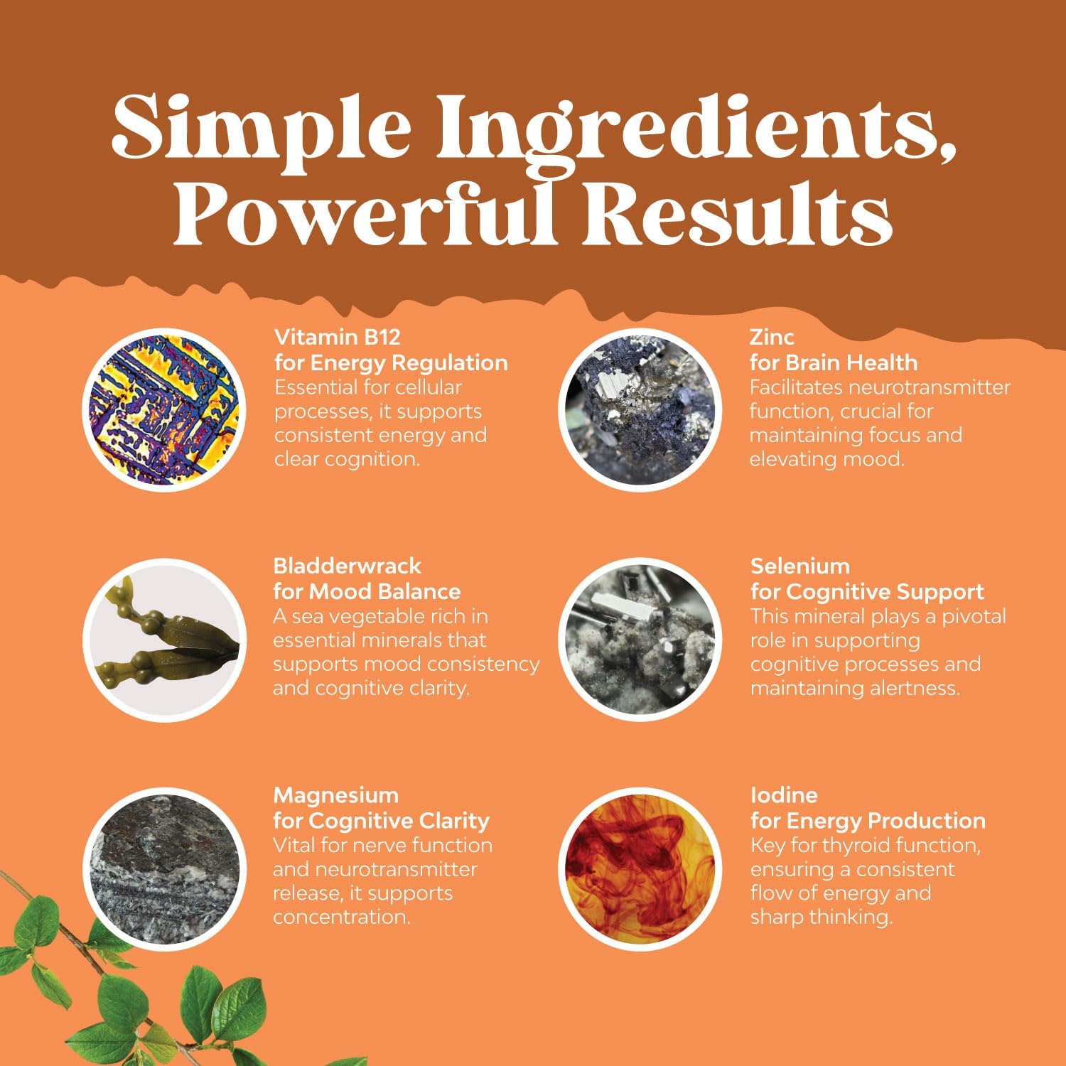 Women's Perimenopause Supplement Bundle for Hormone Balance, Hot Flashes, and Mood Support with Thyroid Complex - Herbal Energy Boost and Mood Enhancer for Thyroid Health