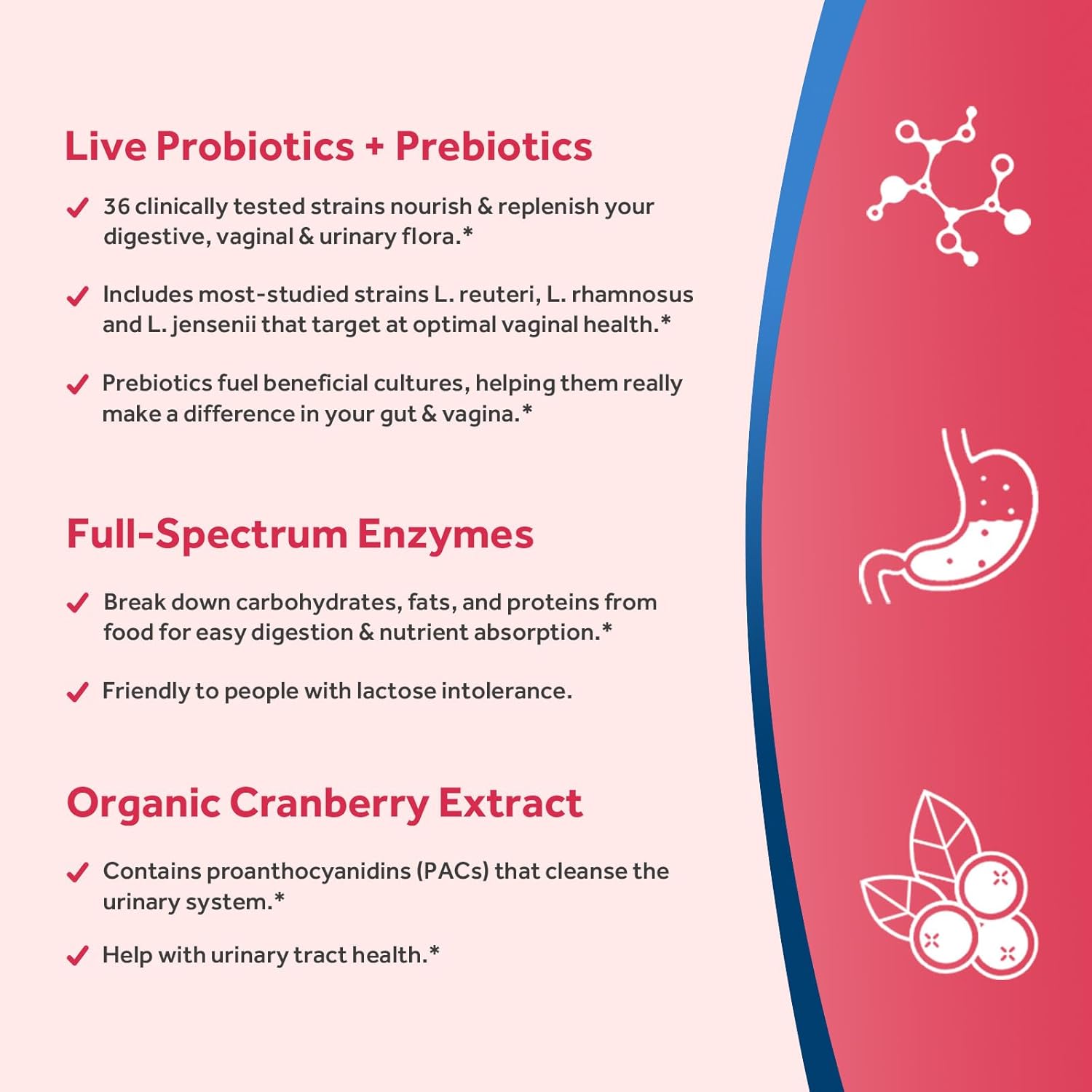 Women's Probiotic Blend with 200 Billion CFUs, 36 Strains, Prebiotics, Enzymes, Cranberry - Supports Vaginal, Urinary, Digestive & Immune Health - 30 Capsules