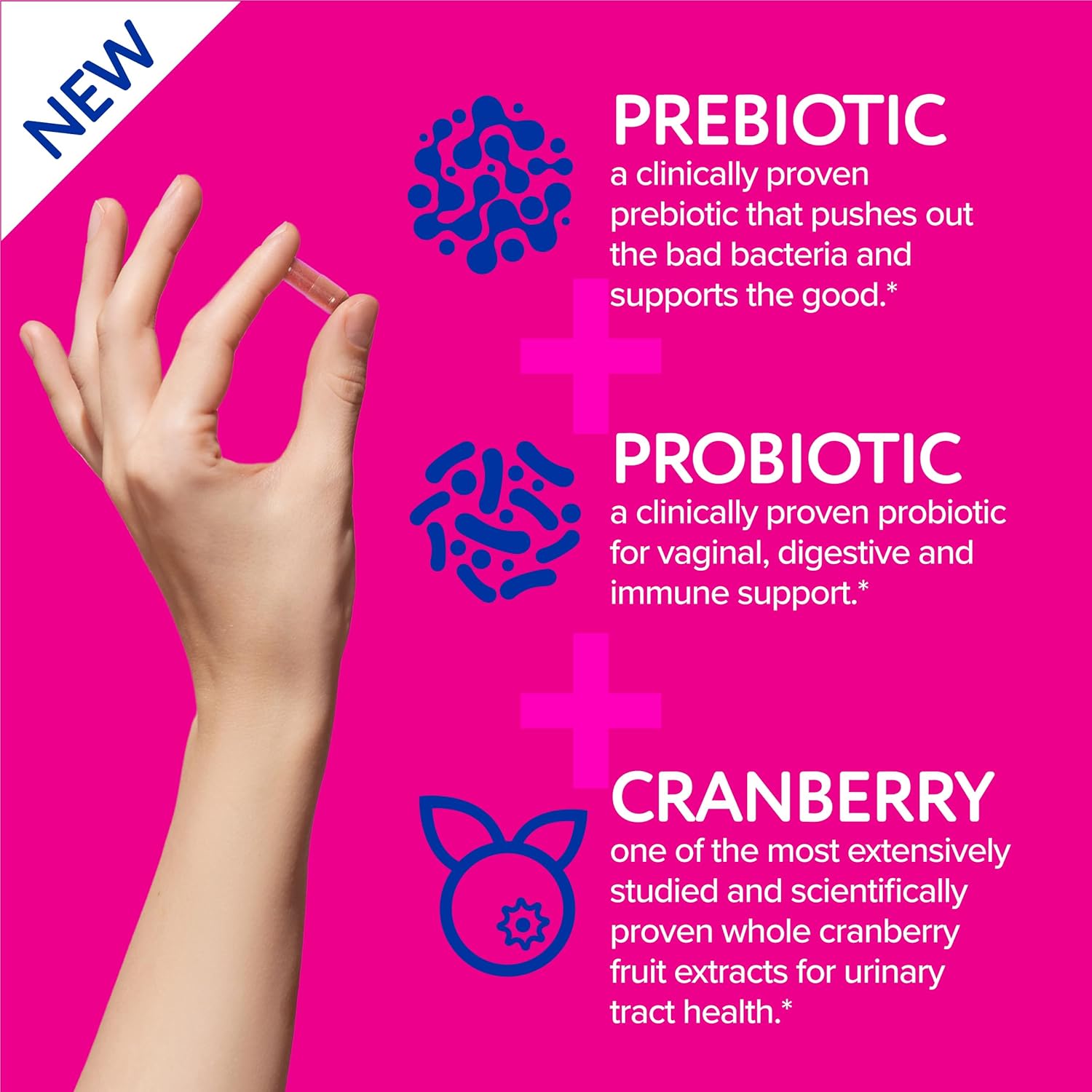 Women's Probiotic, Prebiotic, & Cranberry Supplement for Immune & Digestive Health - 30 Capsules