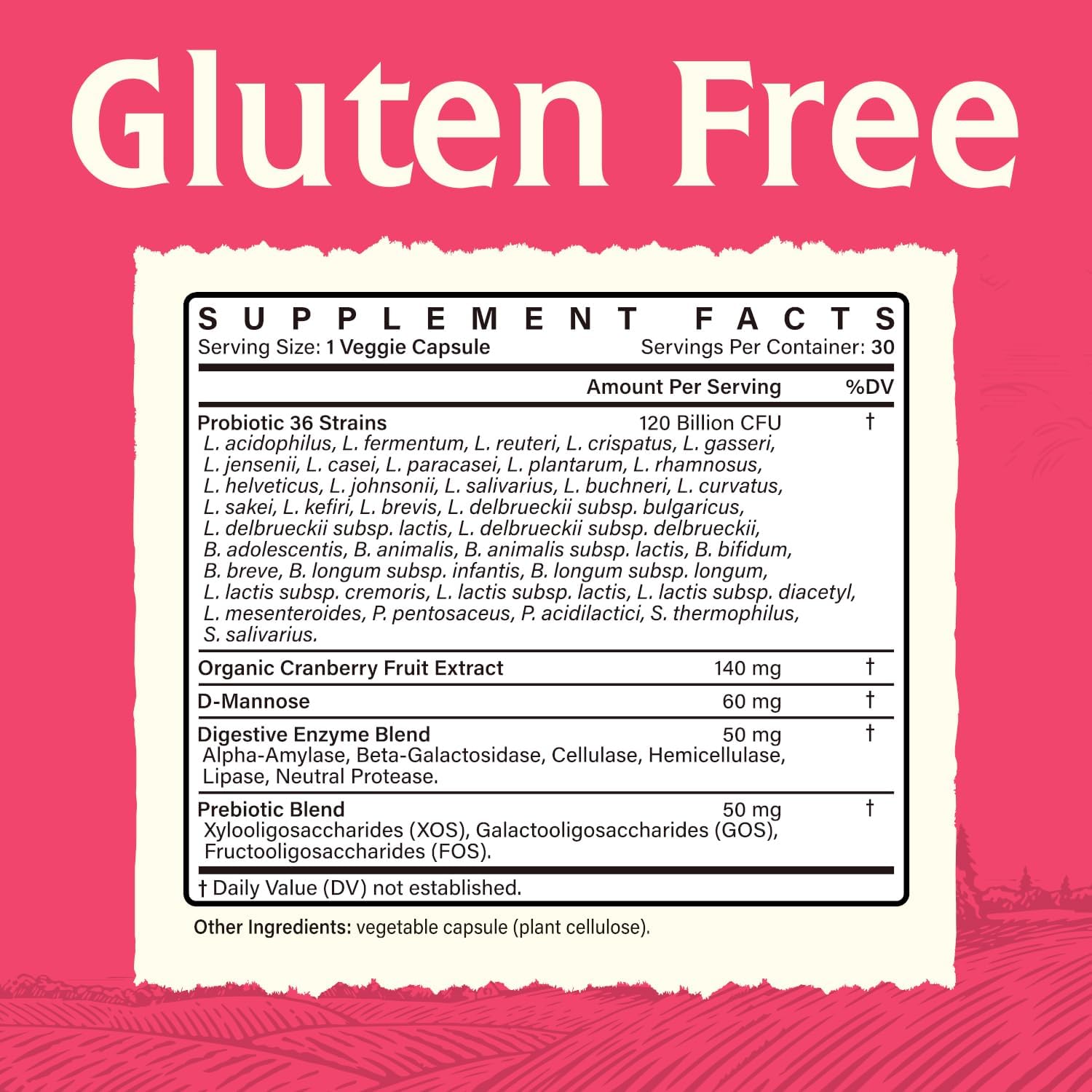 Women's Probiotic Supplement with 120 Billion CFU, Prebiotics, Cranberry, D-Mannose & Enzymes for Digestive, Vaginal & Urinary Health - 30 Capsules