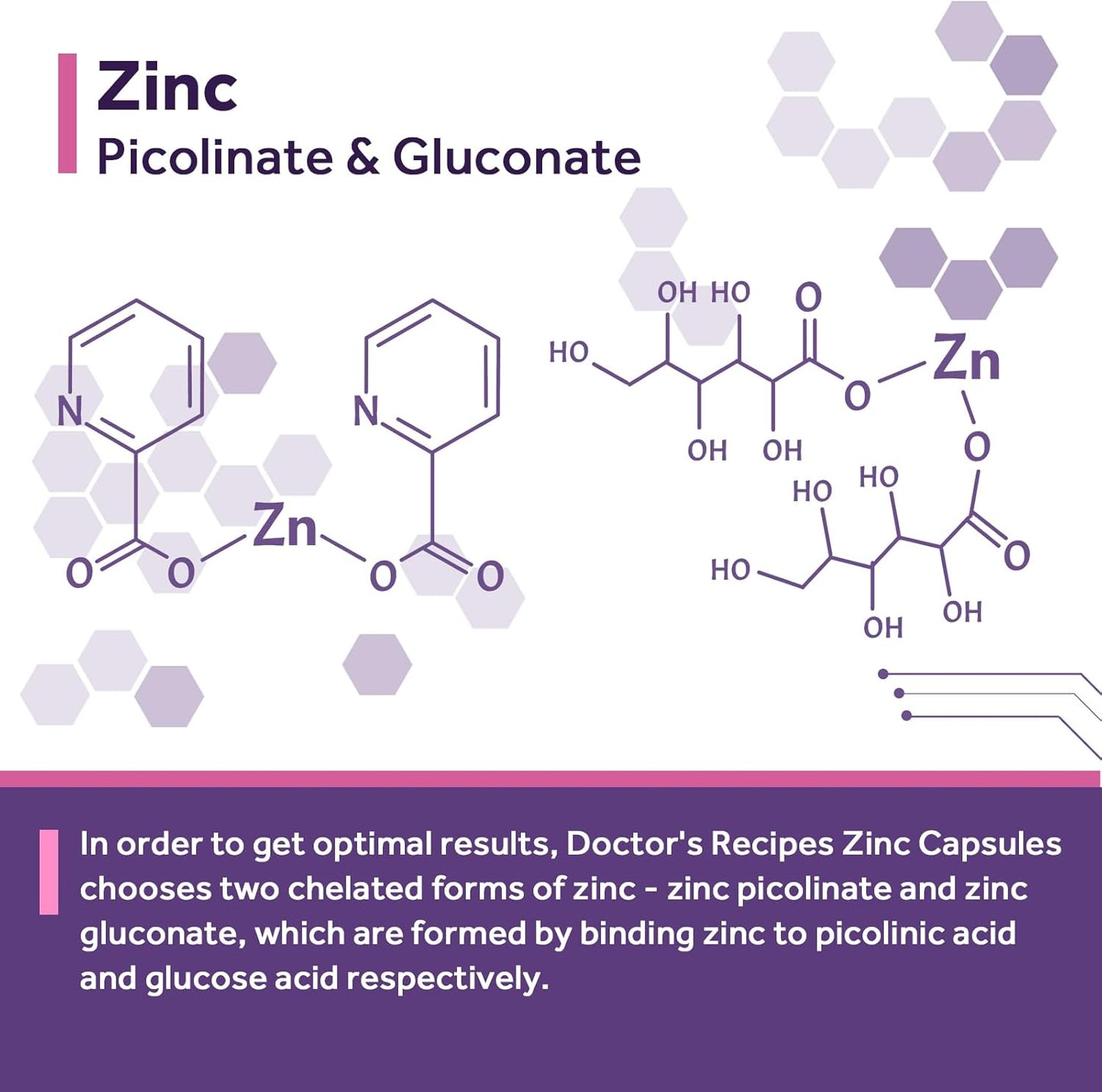 Women's Probiotic & Zinc Bundle for Digestive, Vaginal, & Urinary Health - Immune Defense & Delayed Release - 60 Probiotic Capsules & 120 Zinc Capsules