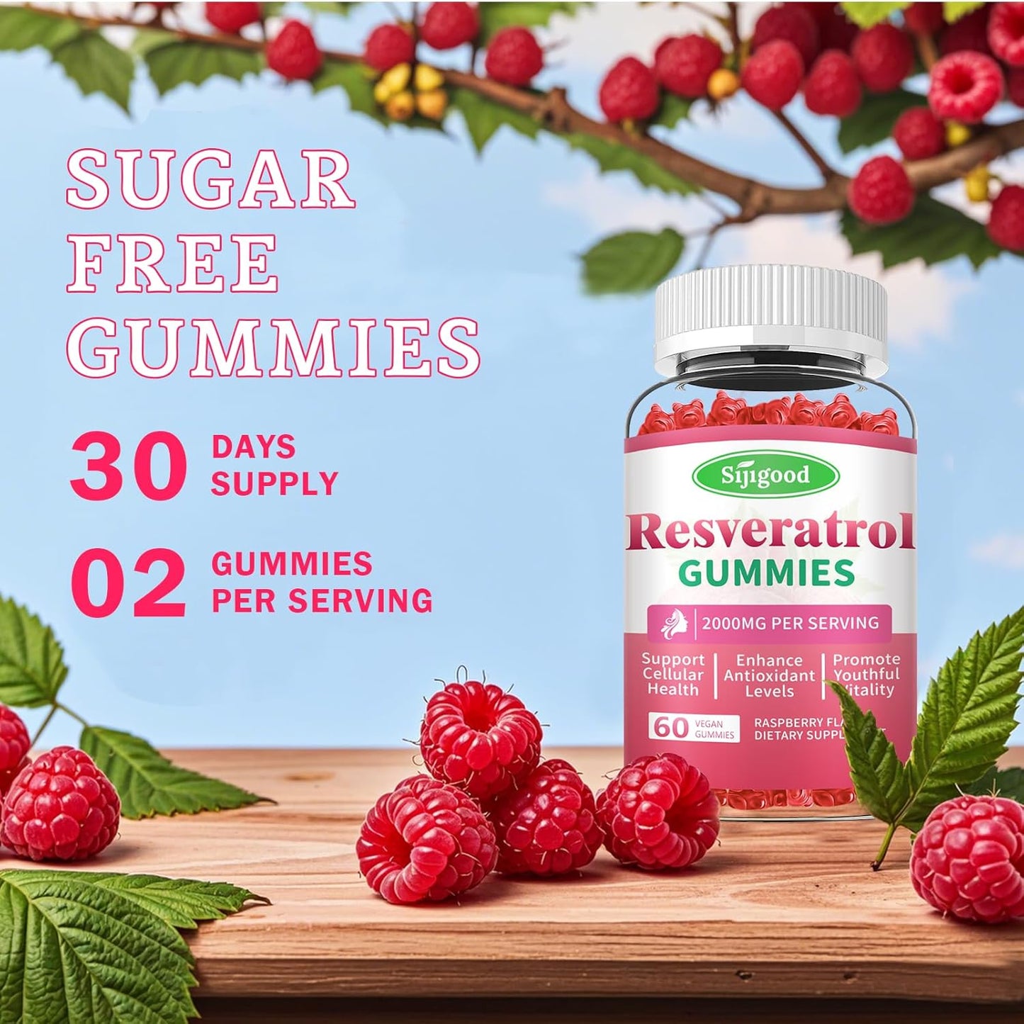 Women's Raspberry Flavored Resveratrol Gummies - Sugar Free, Vegan Antioxidant Supplement for Cellular Health and Vitality - 60 Count