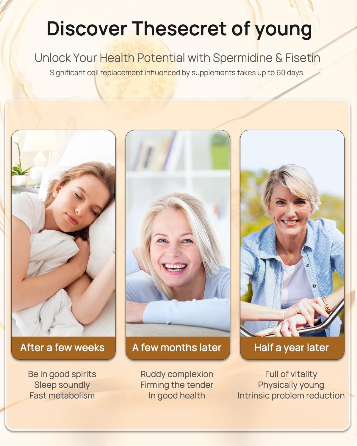 Women's Wellness Bundle: 2 Probiotic Bottles + Spermidine & Fisetin - Digestive Health, Cellular Renewal, & Anti-Aging