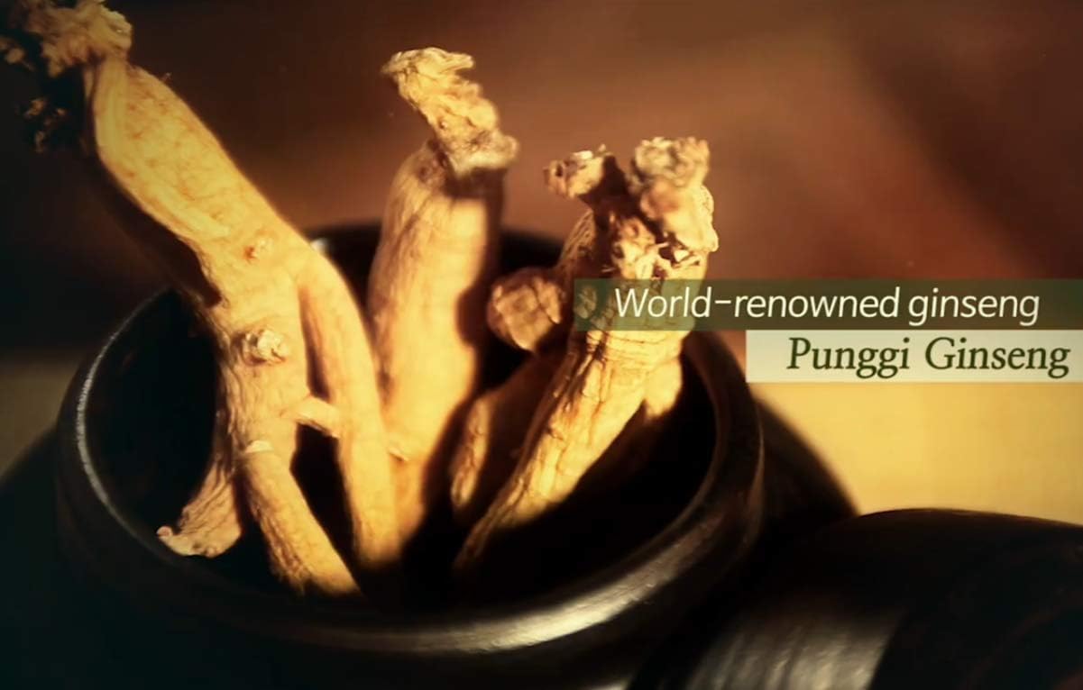 Xebec Authentic Korean Red Ginseng Tablets - 300mg x 200 - Supports Immune Health, Blood Flow, Memory - 100% Extract - 6 Year Ginseng