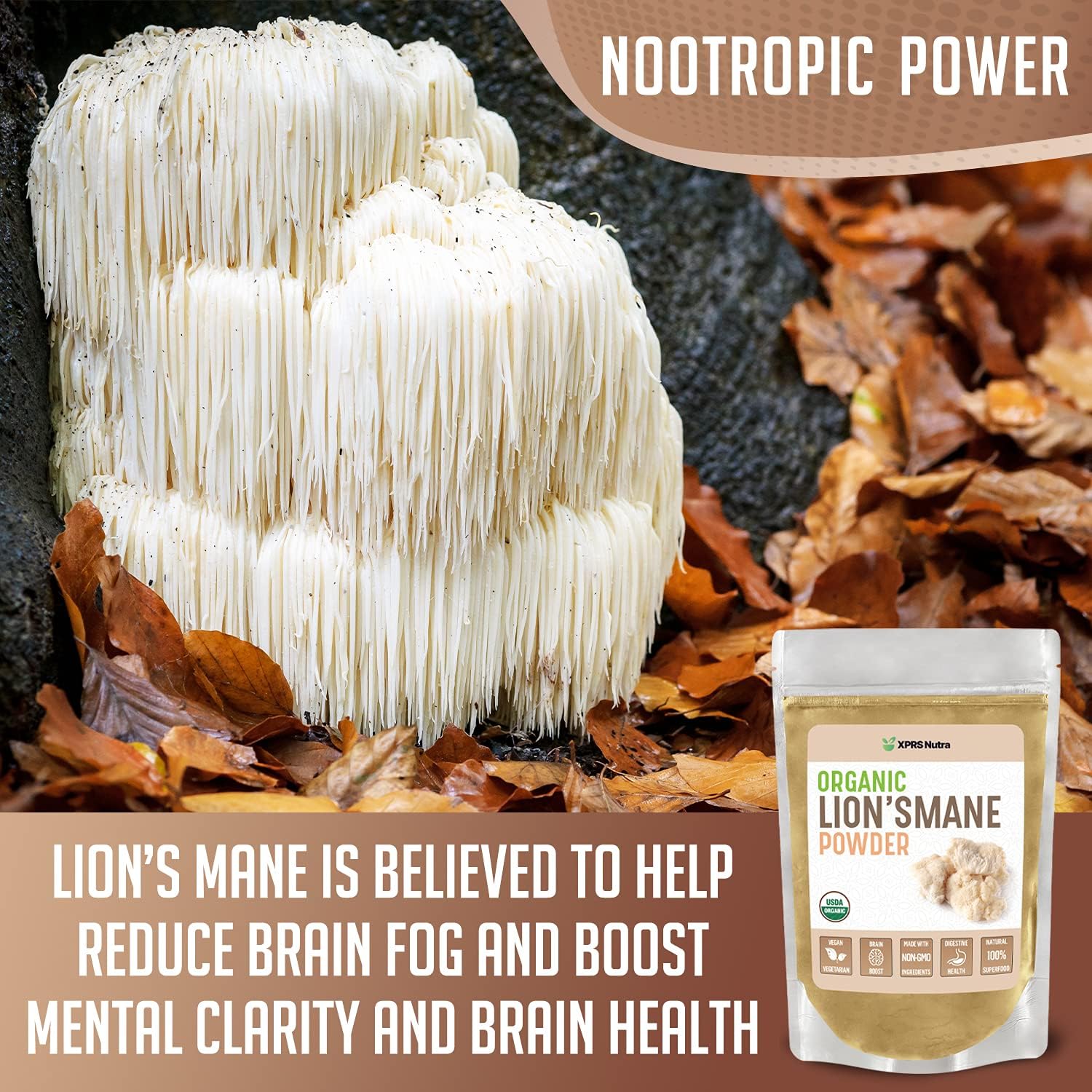 XPRS Nutra Organic Lion's Mane 8 Ounce DIY Supplement Kit for Size 00 Empty Capsules