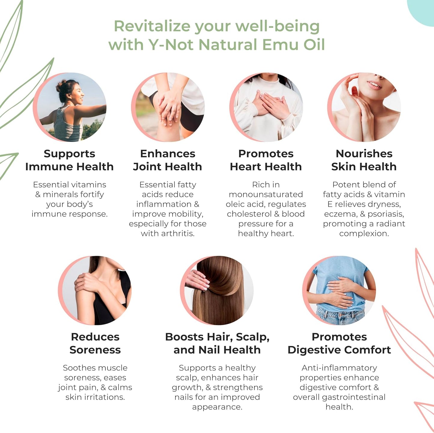 Y-Not Natural Emu Oil Capsules - Pharmaceutical Grade Supplement for Heart, Hair, Metabolism & Joints - 1000mg, 500 Capsules