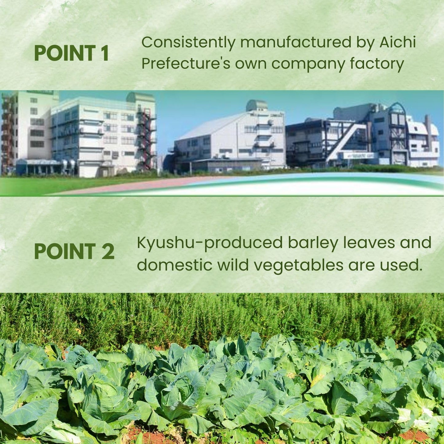 Yamamoto Kanpoh Superfood Green Powder Drink with Pure Barley Young Leaves, 30 Types of Vegetables, and 12 Vitamin Blends - 100% Japanese Green Powder Juice in 64 Sachets for Daily Nutrition