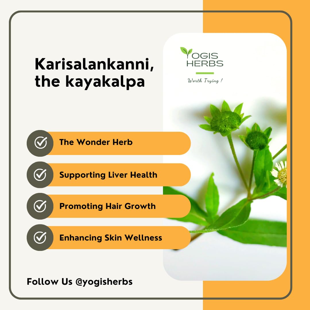 Yogis Herbs Karisalankanni Powder - 1 Lb Fresh & Pure Eclipta Alba/False Daisy Powder - Pack of 1