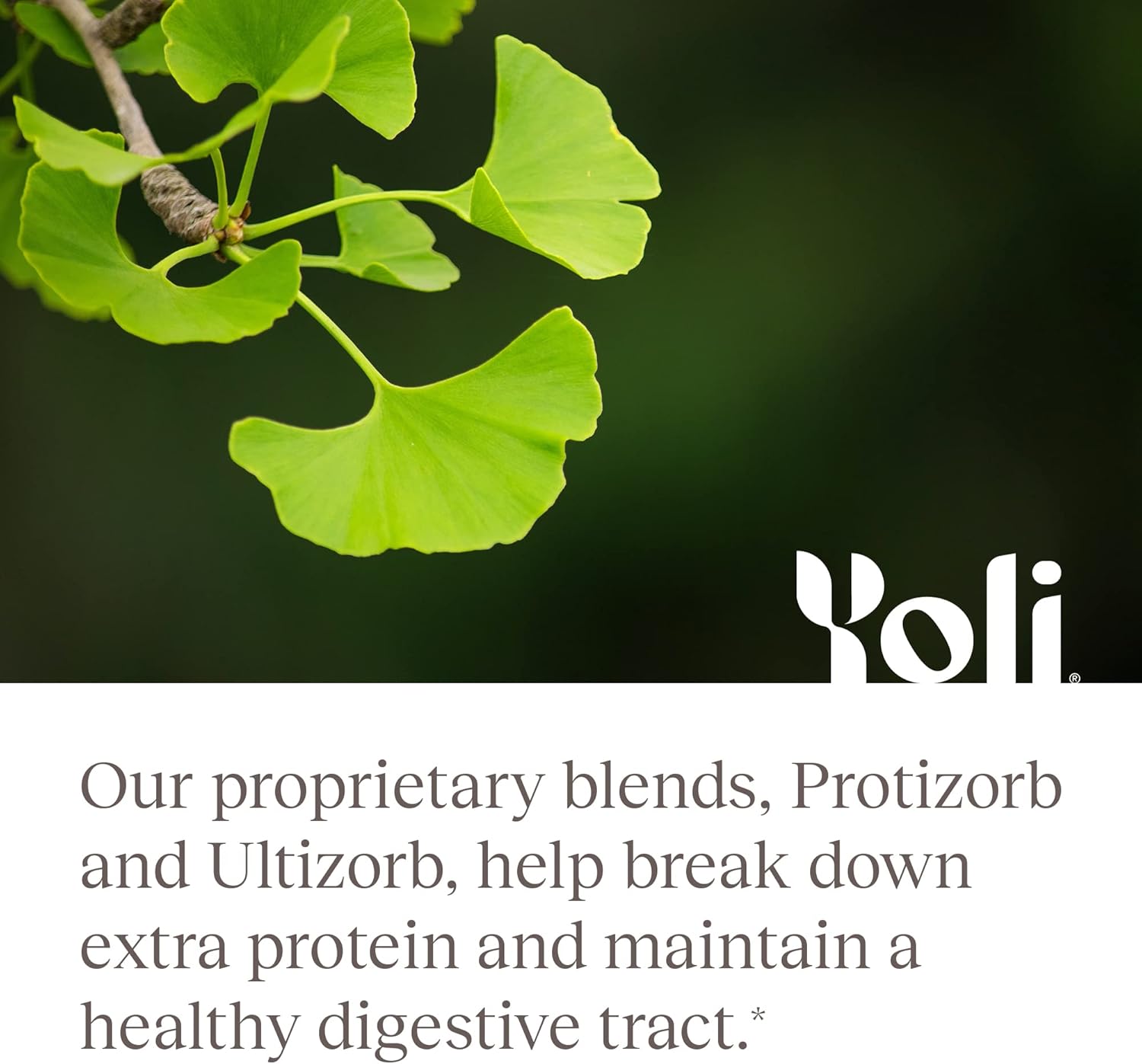 Yoli® Enzyme Digestive Supplement for Gut Health - 60 Count Digestive Enzymes for Women and Men