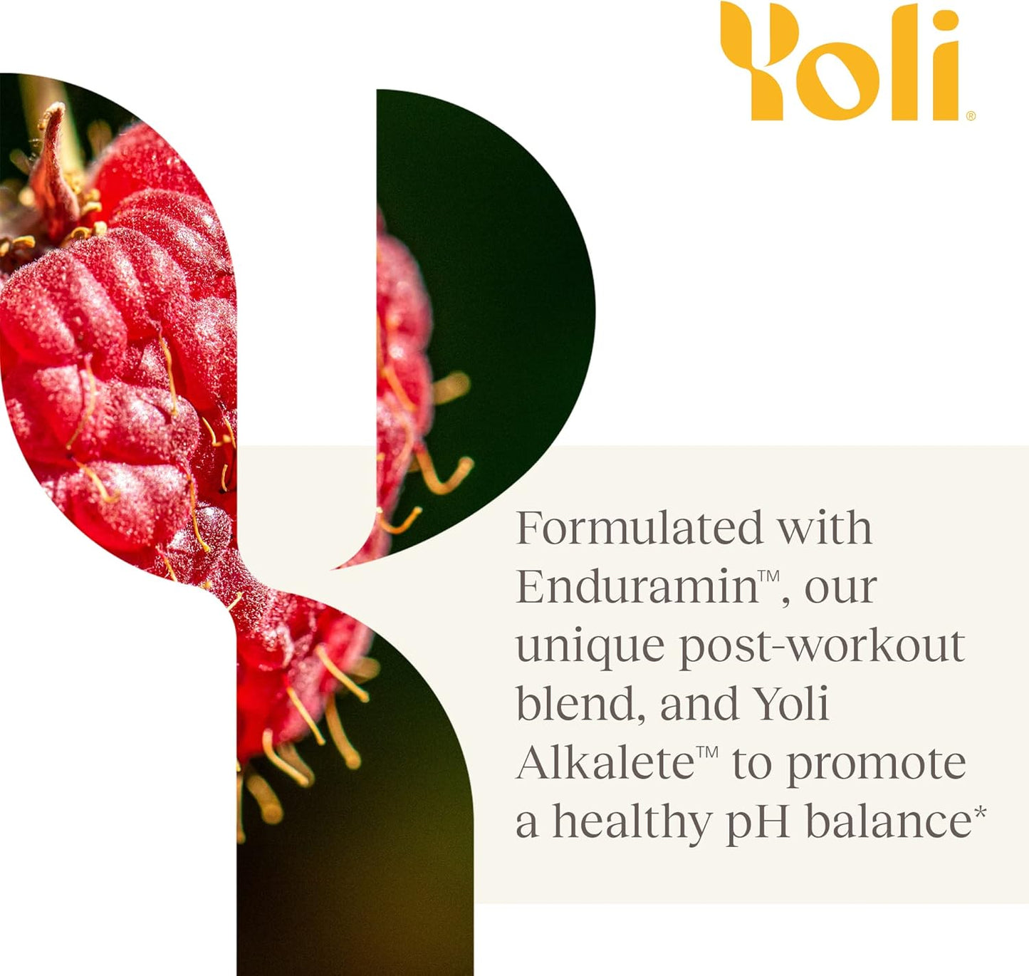 Yoli® Fun Electrolyte Powder Packets - Sugar-Free Hydration Powder with Alkalete Blend - Electrolytes for Energy and Hydration