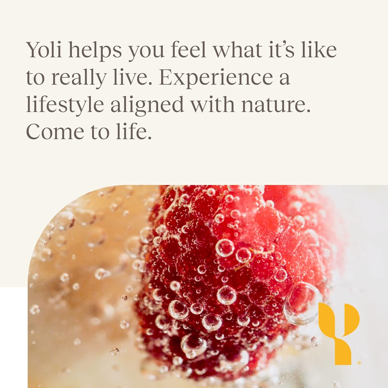 Yoli® Fun Electrolyte Powder Packets - Sugar-Free Hydration Powder with Alkalete Blend - Electrolytes for Energy and Hydration