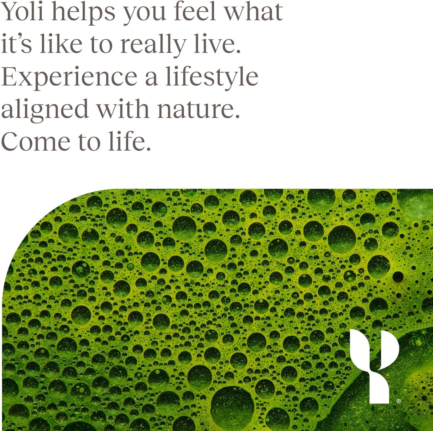 Yoli® Lean Greens Plus Superfood Powder Supplement - 14 OZ Size