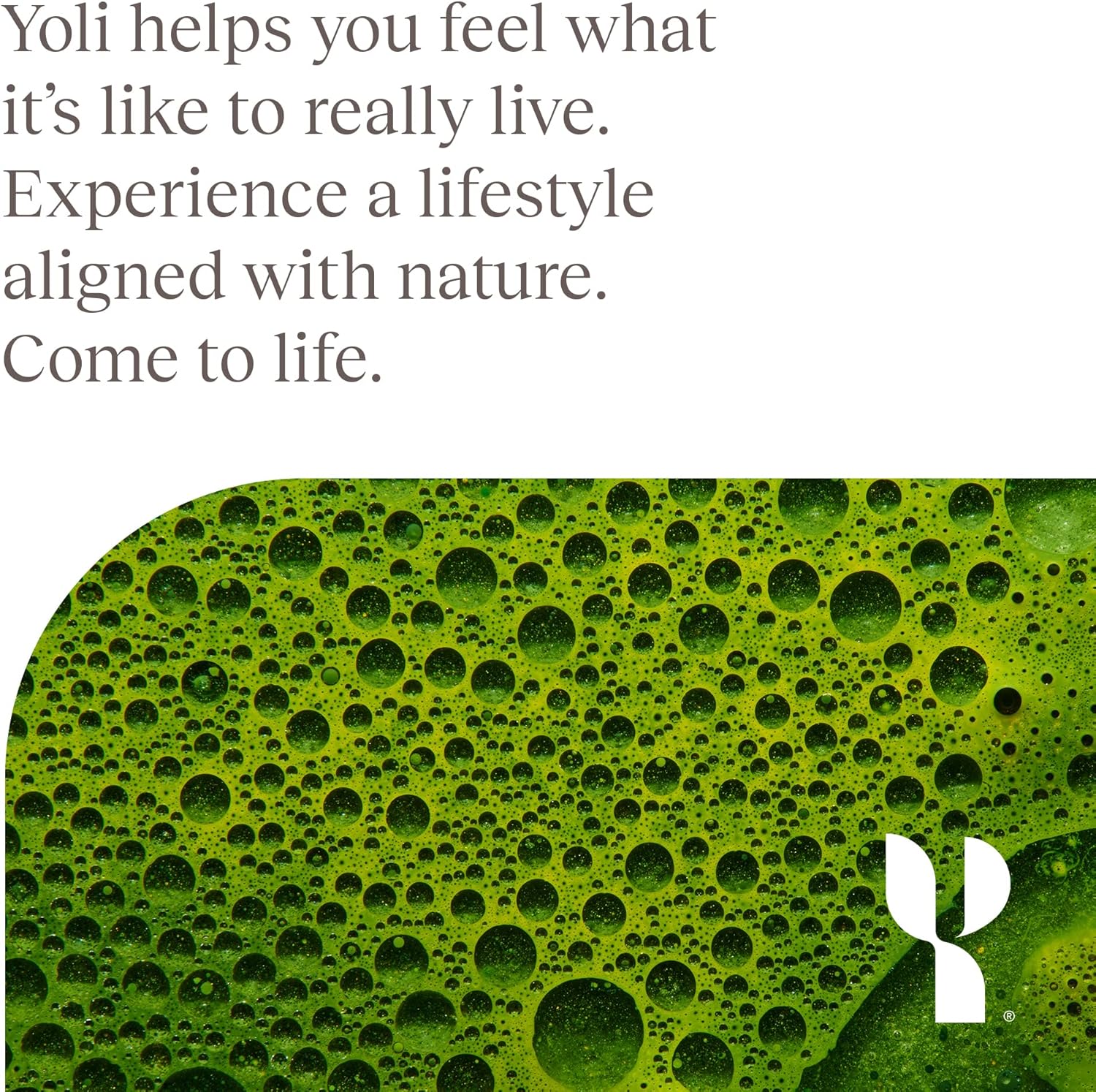 Yoli® Lean Greens Plus Superfood Powder Supplement - 14 OZ Size